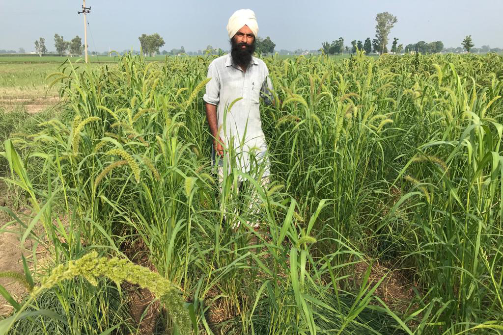 Rashpinder Singh Grewal