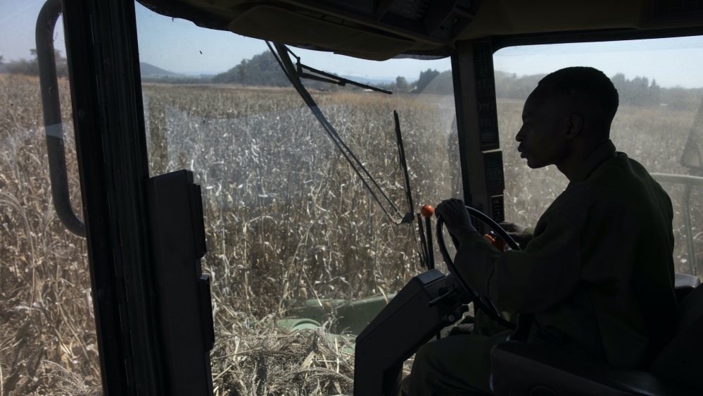 Zimbabwe farmers Getty