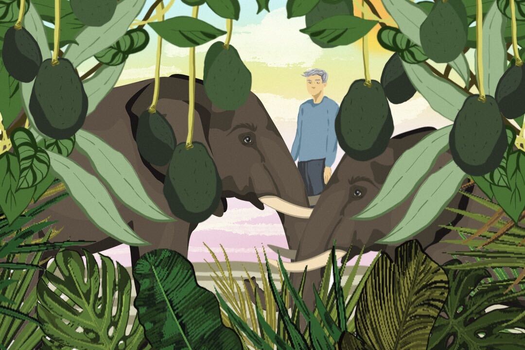 [Jawahir Al-Naimi/Al Jazeera]