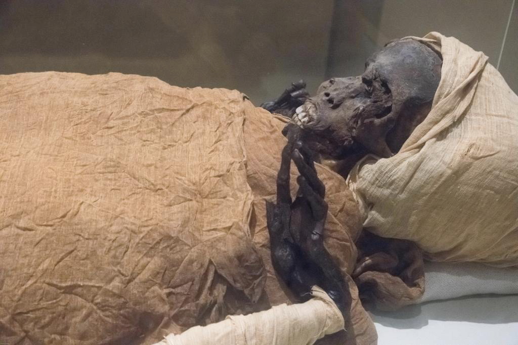 ancient mummy