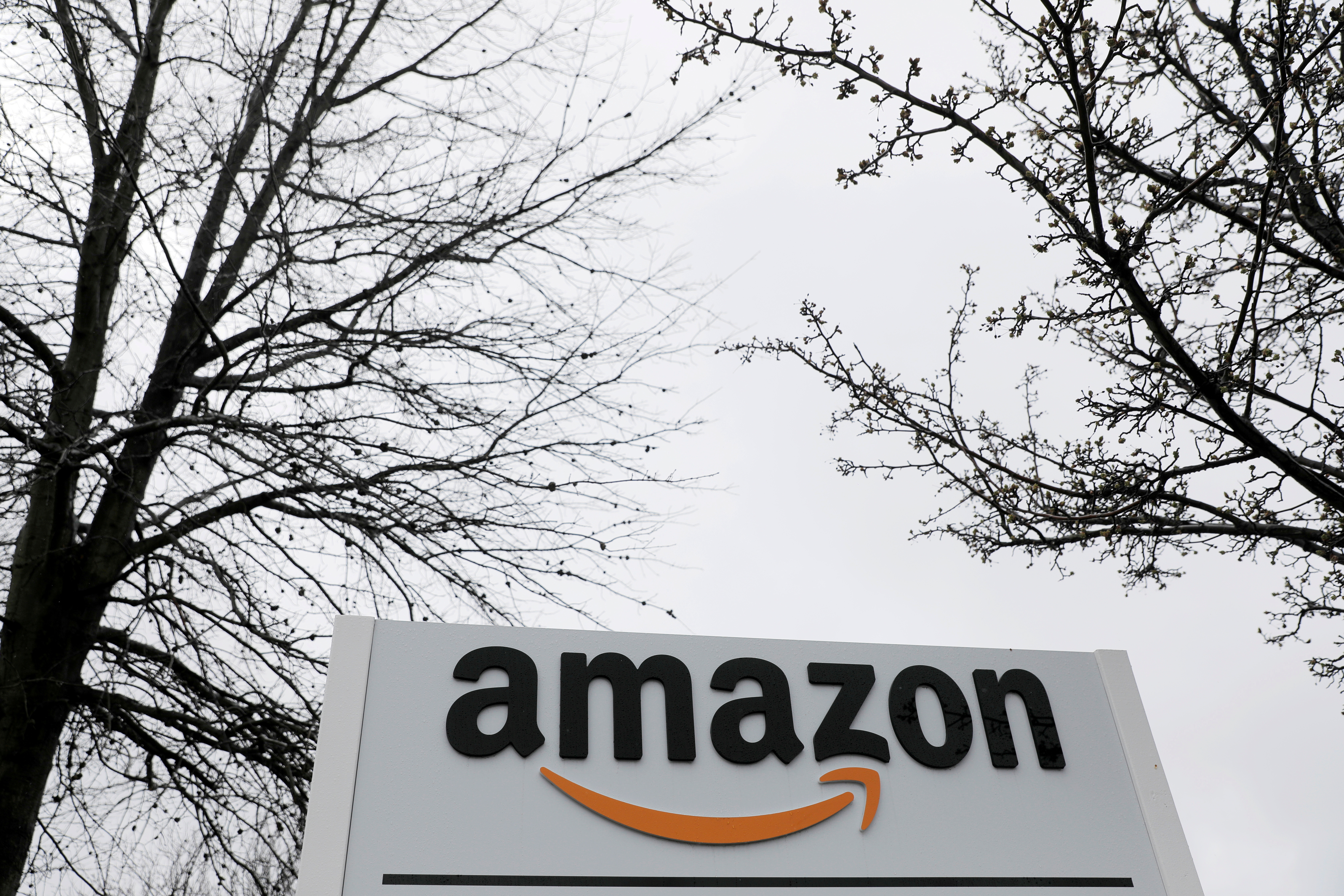 Judges at the European Union's General Court said the European Commission did not prove 'to the requisite legal standard that there was an undue reduction of the tax burden of a European subsidiary of the Amazon group' [File: Andrew Kelly/Reuters]