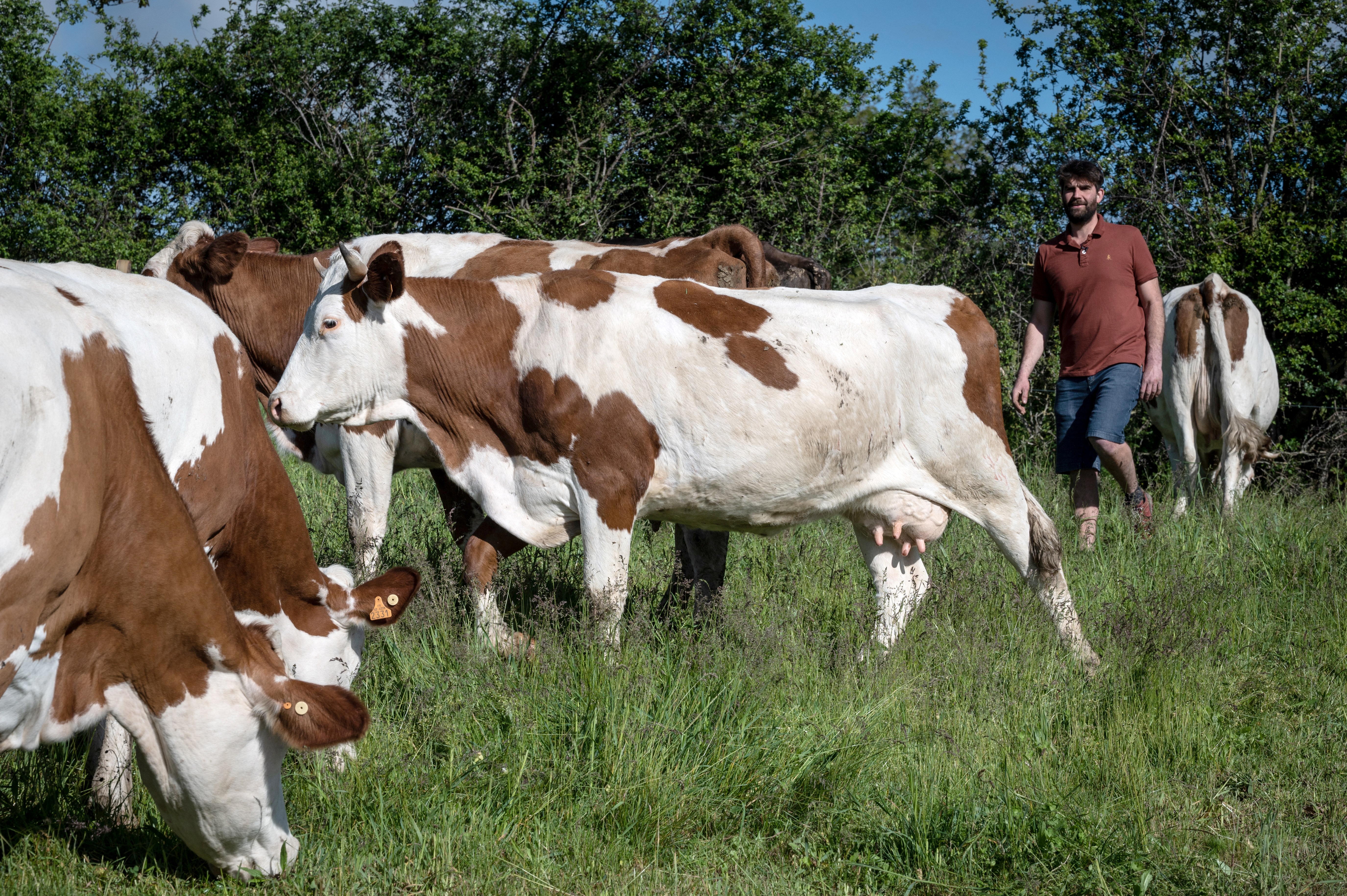 Meat consumption has increased across the world, especially in places where it was previously a luxury [File: AFP/Jean-Philippe Ksiazek]