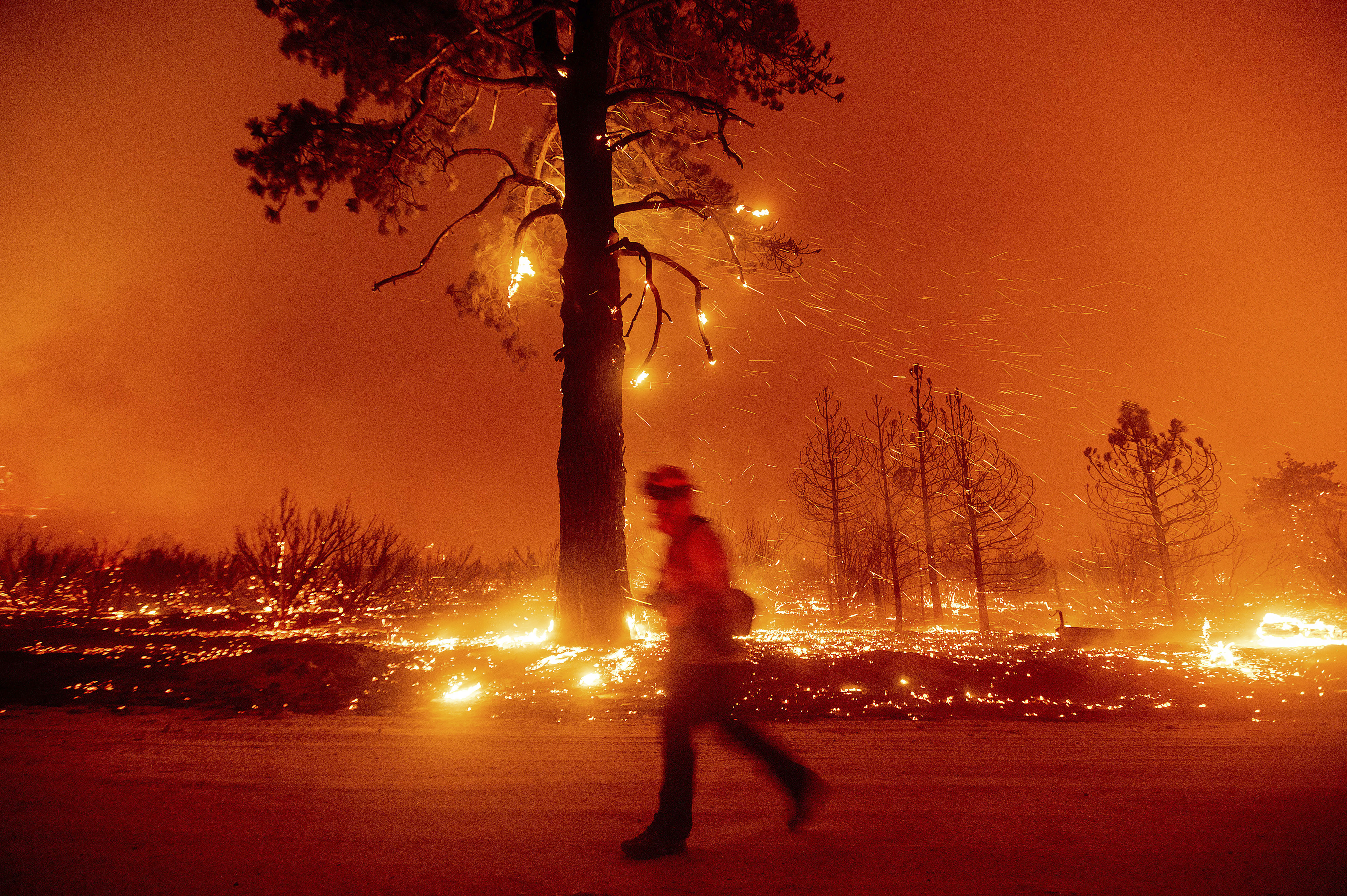 A firefighter battles the Dixie Fire shortly after it jumped Highway 395 south of Janesville in Lassen County, Calif., on Monday, Aug. 16, 2021. Critical fire weather throughout the region threatens to spread multiple wildfires burning in Northern California. (AP Photo/Noah Berger)