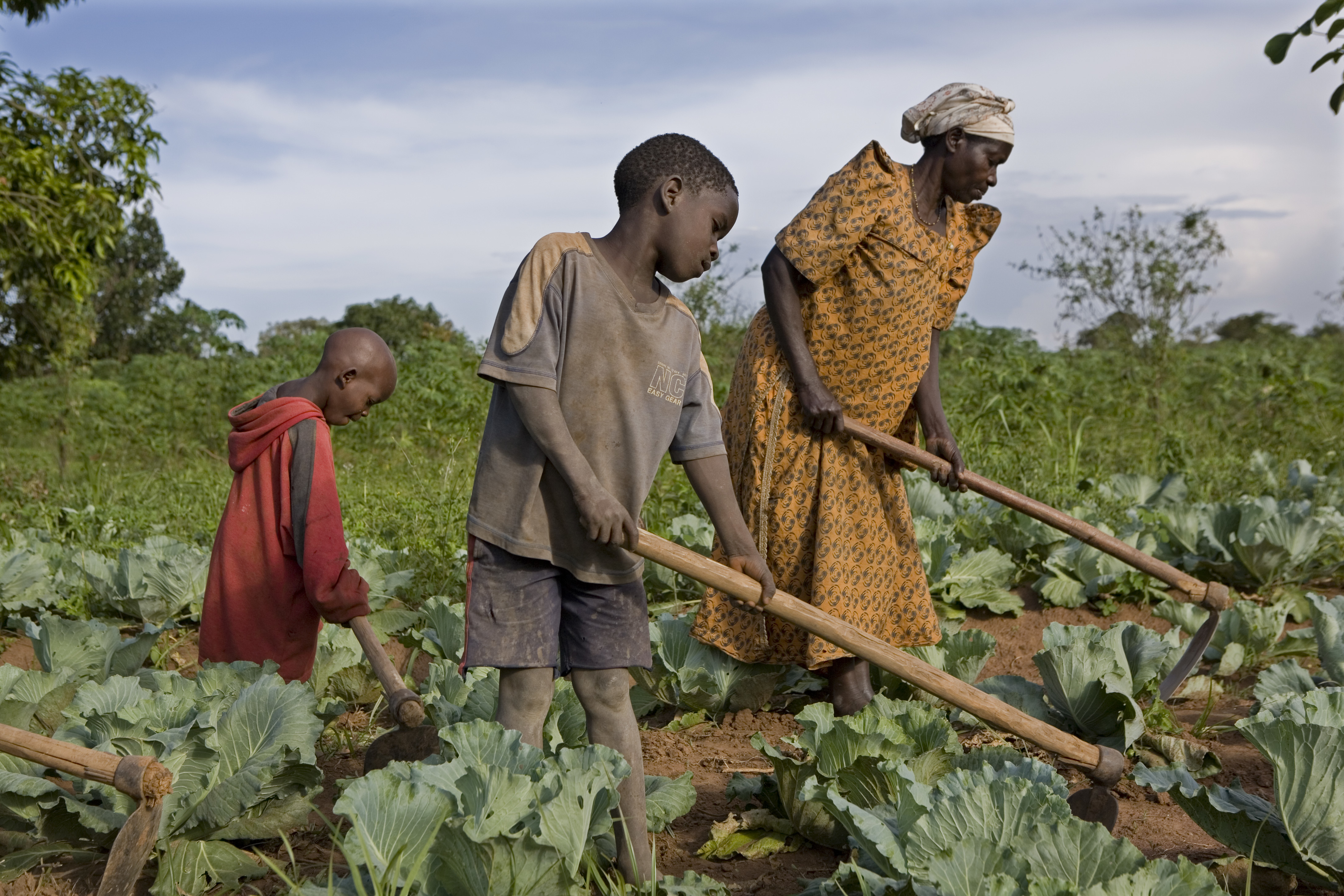 A woman and two of her children farm their crops in Nakasongola, Uganda [Corbis via Getty Images]