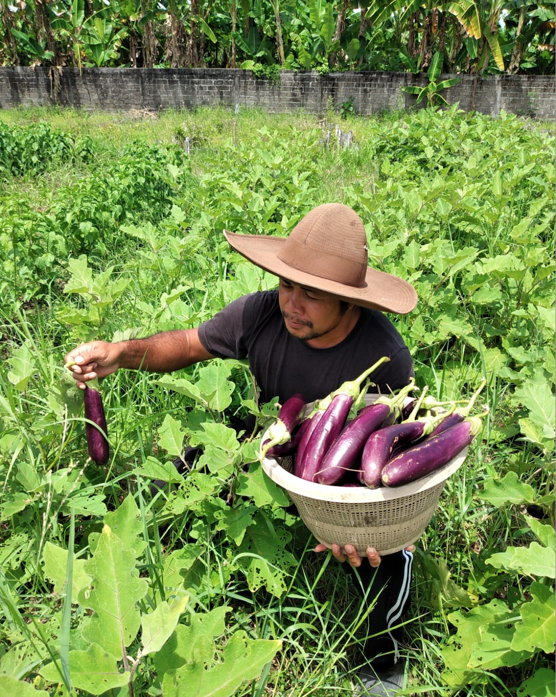 Made Yogantara is among the young people finding creative ways to make ends meet after the collapse of tourism in Bali [Courtesy of Risyiana Muthia]