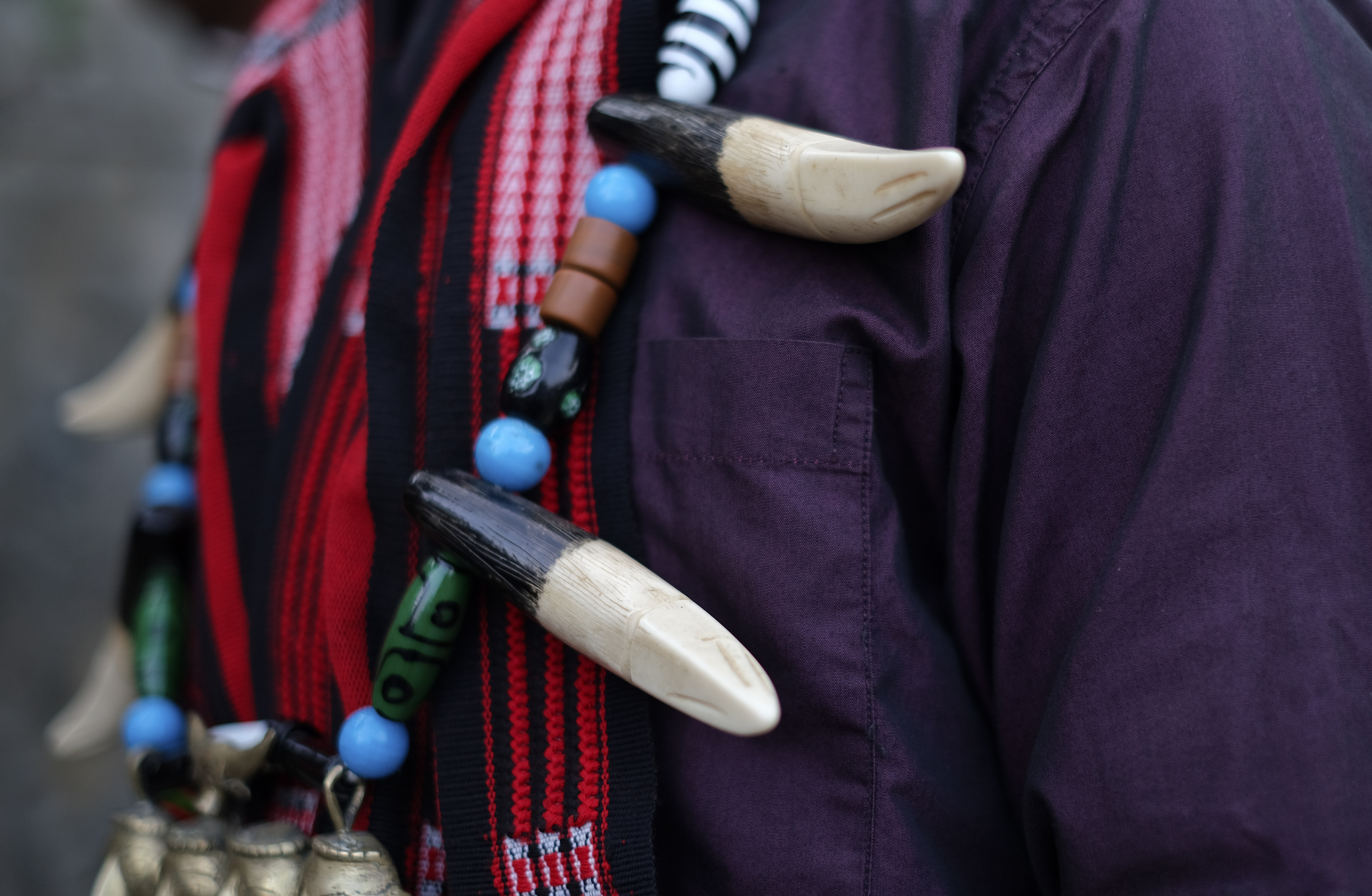 A Naga Woman at the protest demanding the repeal of AFSPA in Nagaland state, India
