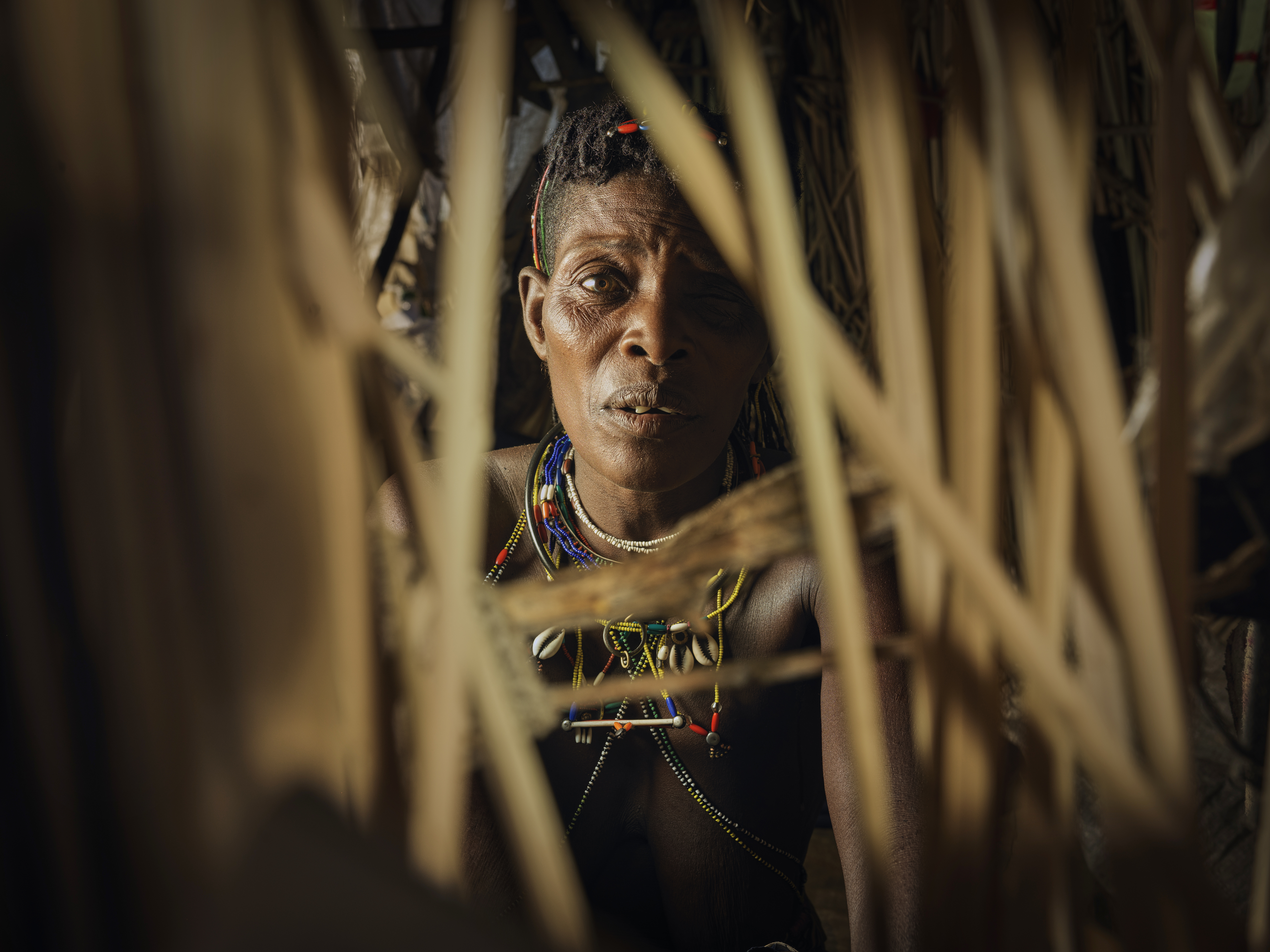 A photo of a person looking through their shelter made of sticks.