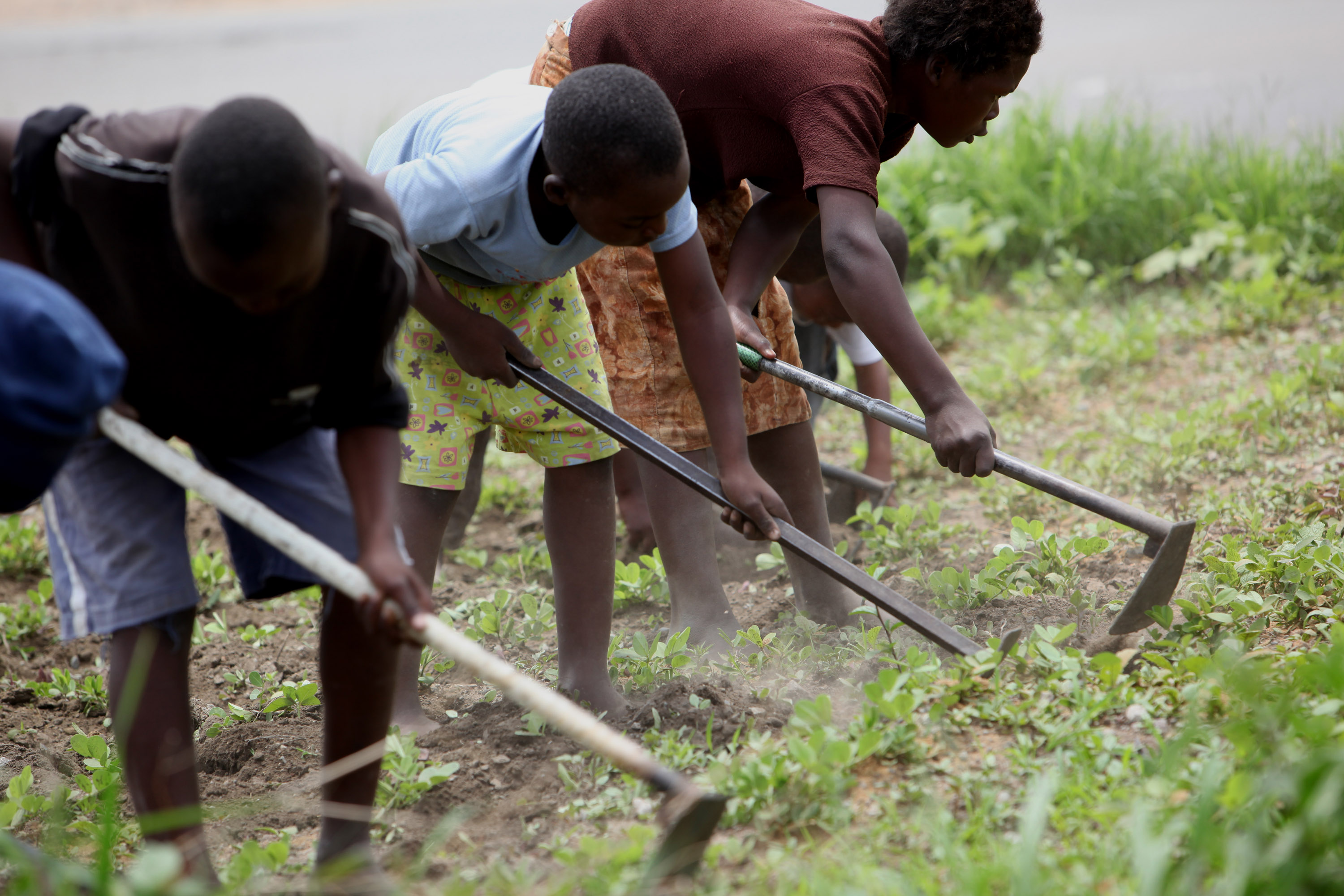 Women and children take time to hoe isolated patches of corn where tractors and giant machines once tilled the land, near Harare