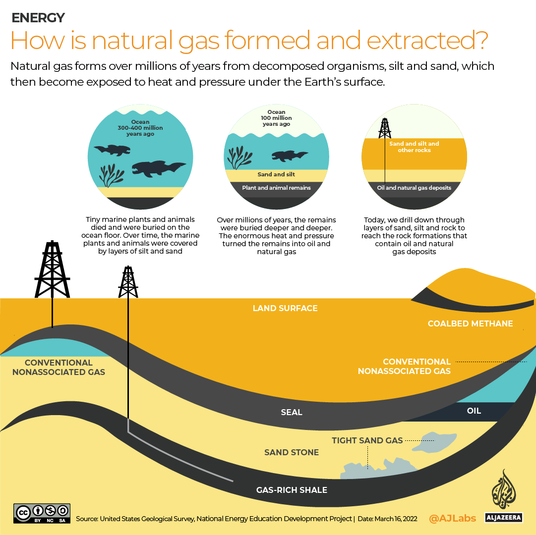 INTERACTIVE - How is gas formed?