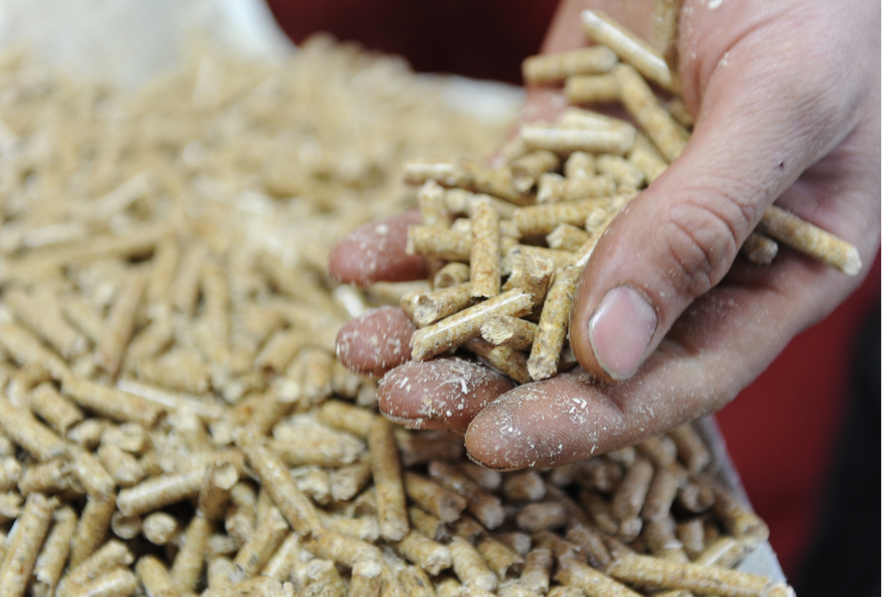 Wood pellets