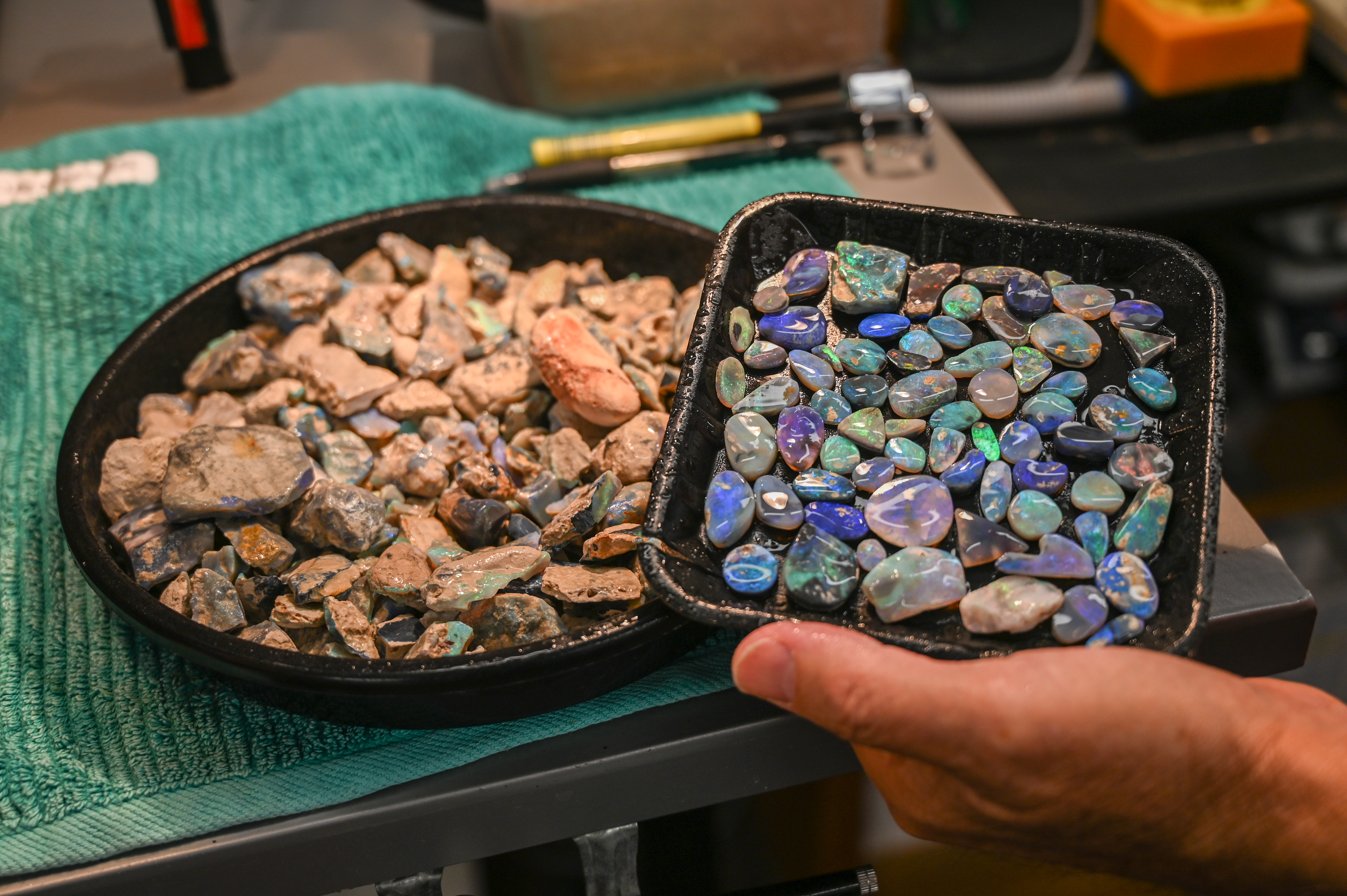 A photo of two plates, one with rubbed back opals, which are blue or green, and the other with rough opals that have been sprayed with water.