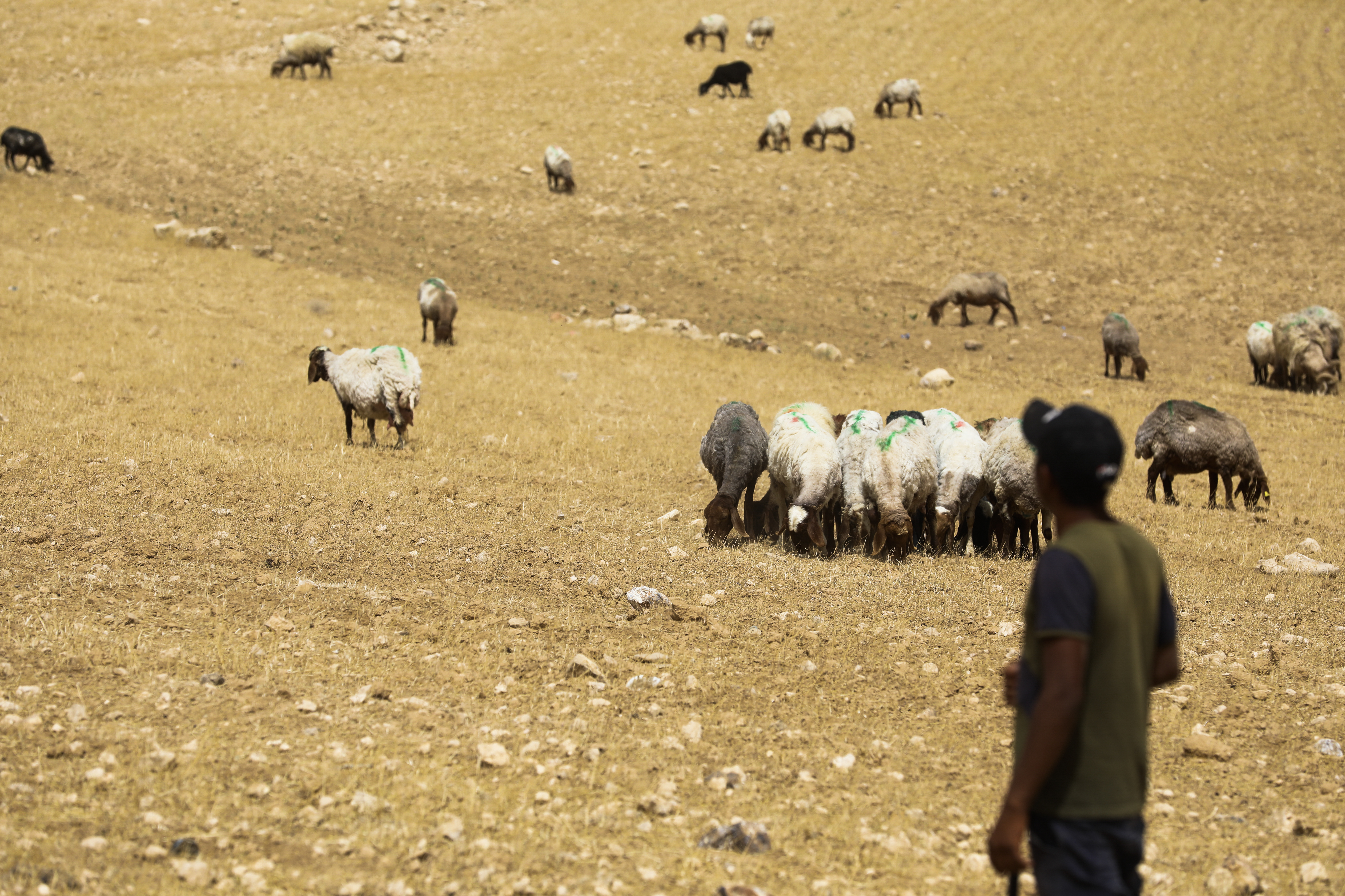 Al-Majaz, where 350 people live, including 50 children, is only accessible via a dirt road, and has no connection to power or water lines, because Israeli authorities consider the settlement to be an “illegal” presence. [/Al Jazeera]