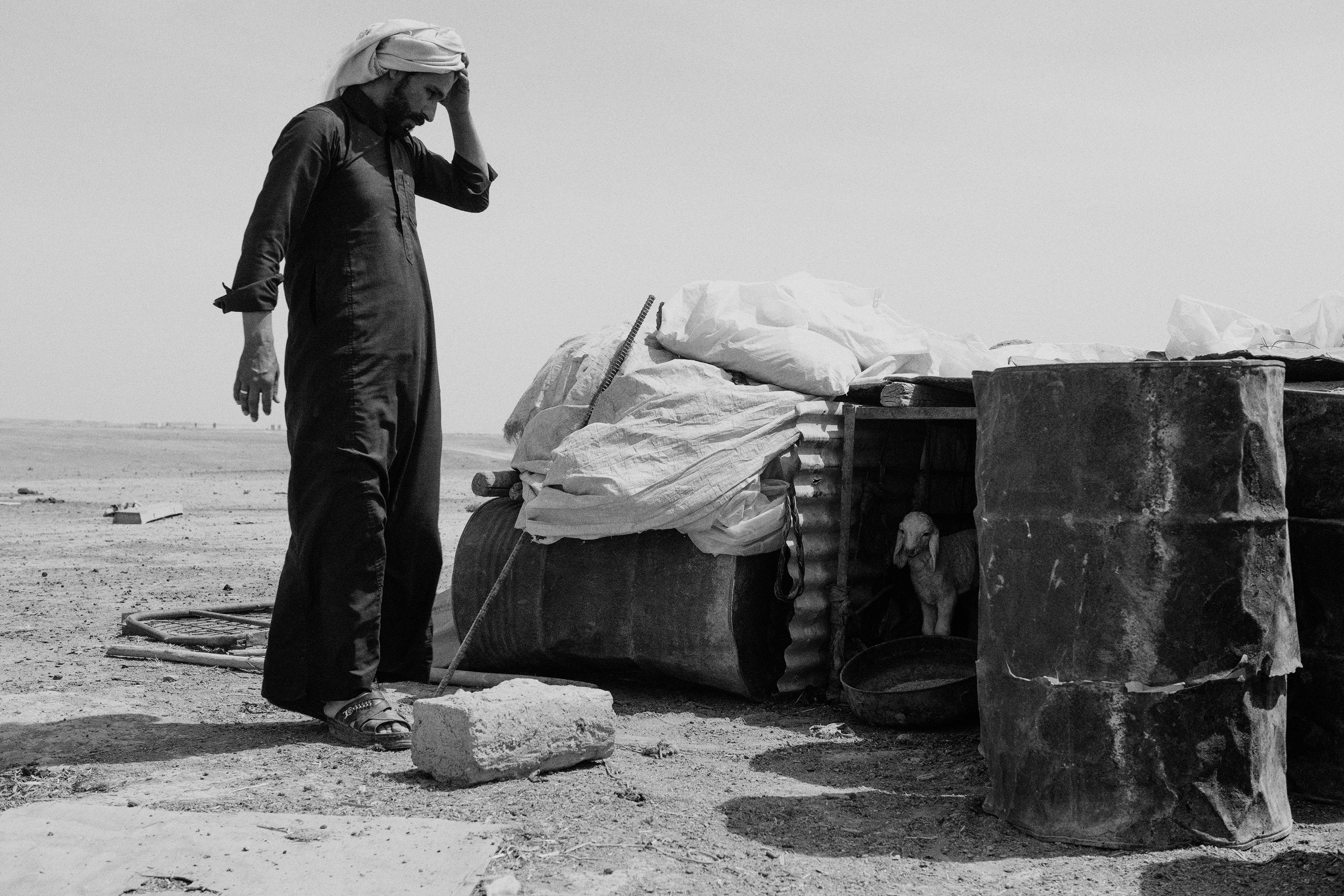Iraq, Tawlabach village. Khamis Hsein Salah feeds one of his lambs. After the war he couldn’t find a proper job and now he survives with the Iraqi monthly food ration.