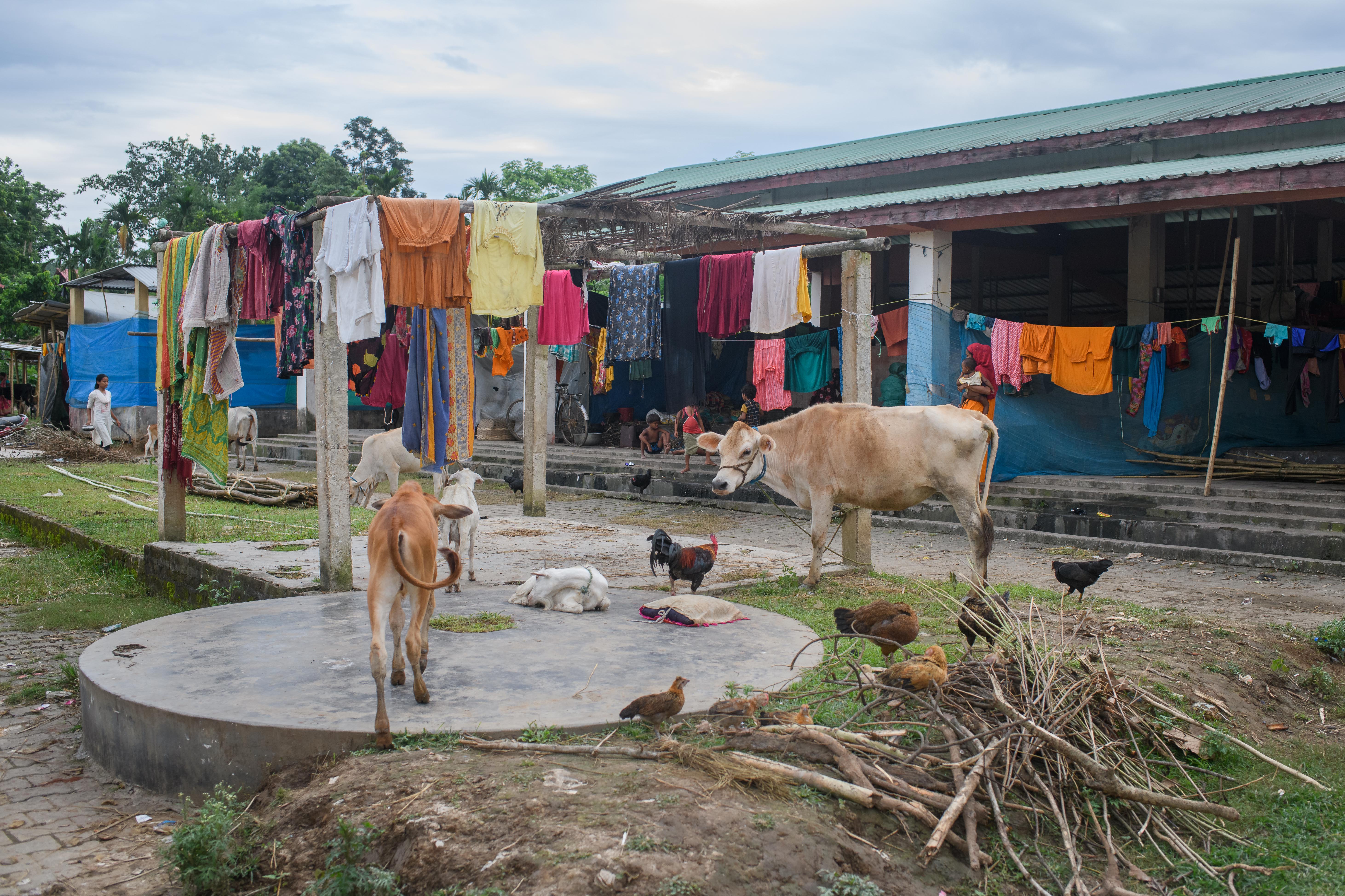 The daily market complex in Nellie town has been converted 9 days ago into a relief camp for the flood affected people of the Nellie area