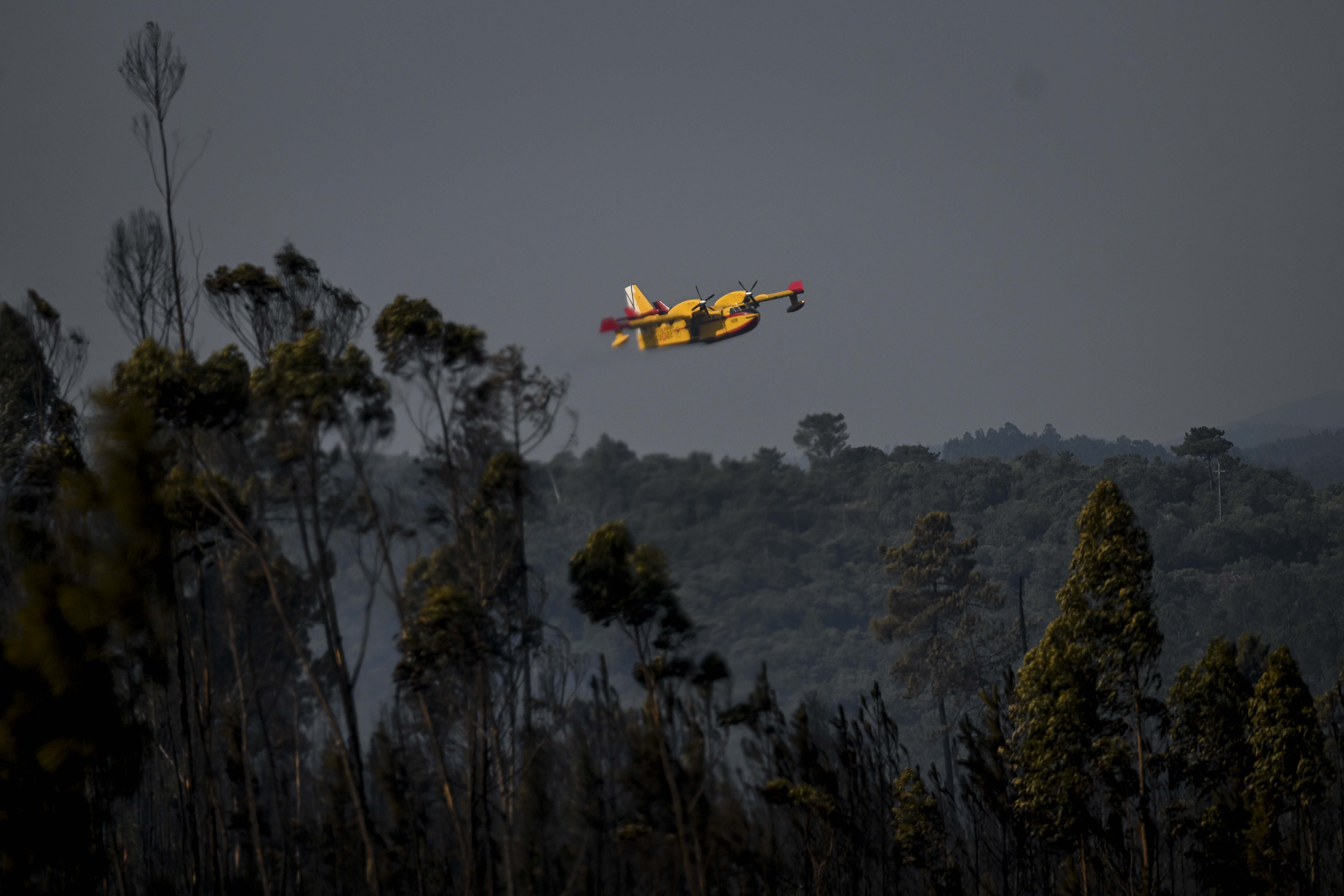 A firefighting plane takes part in wildfire fighting operations at Freixianda in Alvaiazere