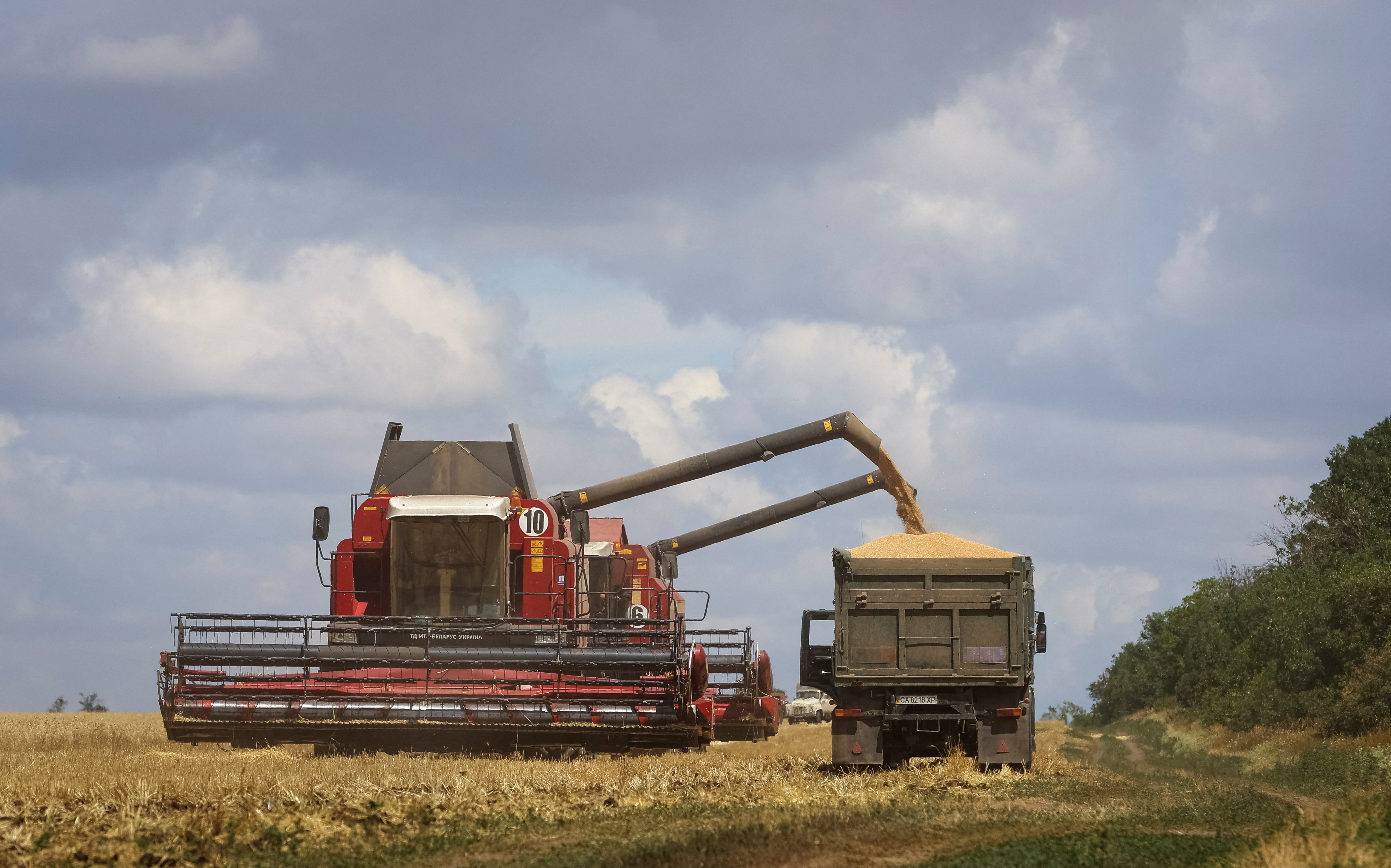 Combines lead wheat in Russian-held part of Zaporizhzhia region, Ukraine