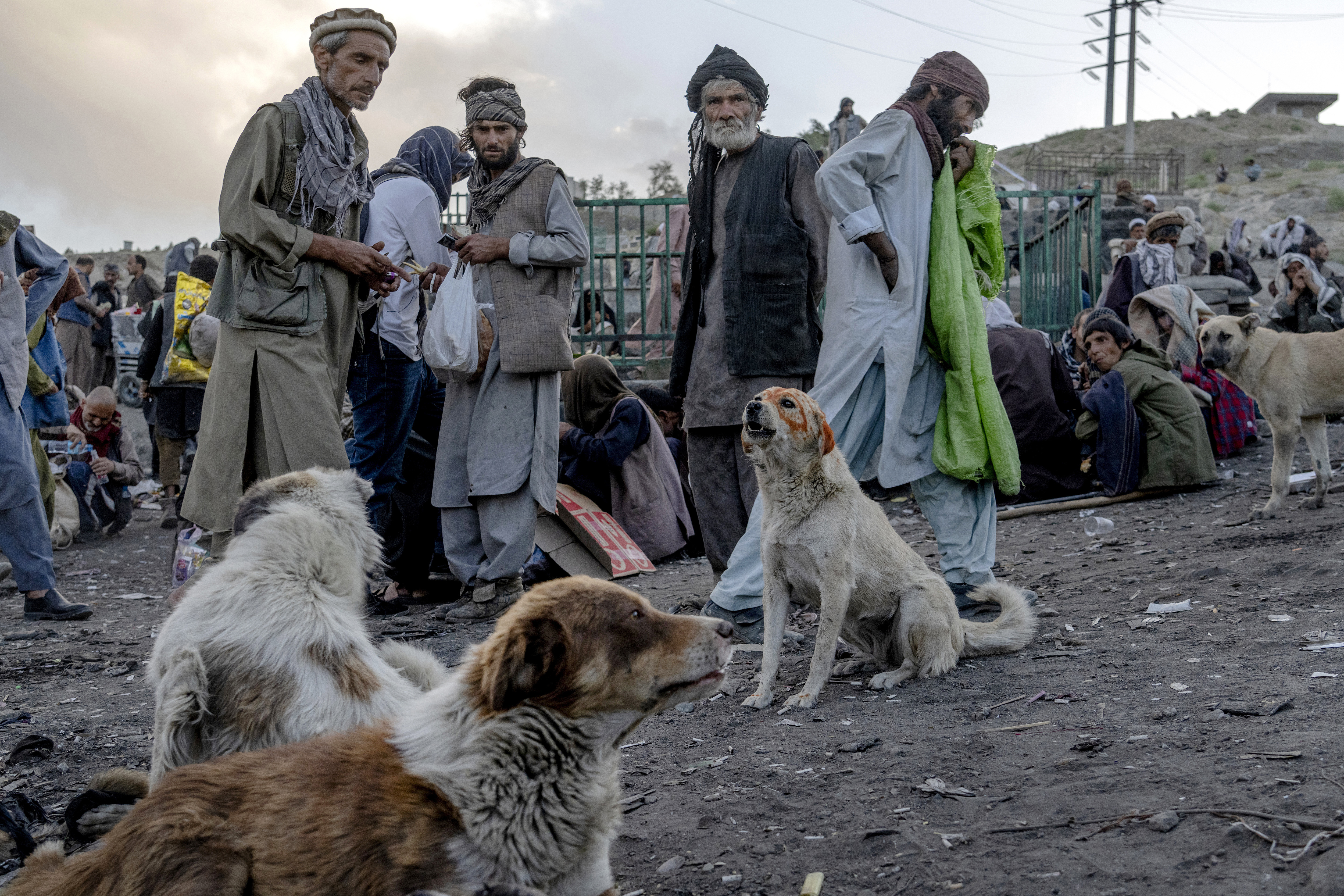 Hundreds of Afghans addicts gather on the edge of a hill to consume drugs