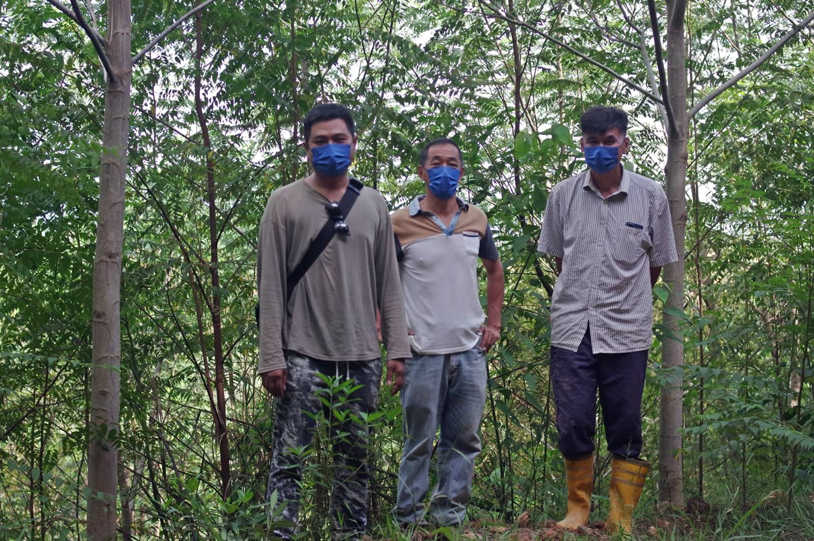 Sia Beng Hock and his staff at their two-year-old batai plantation in Kelantan, Malaysia.