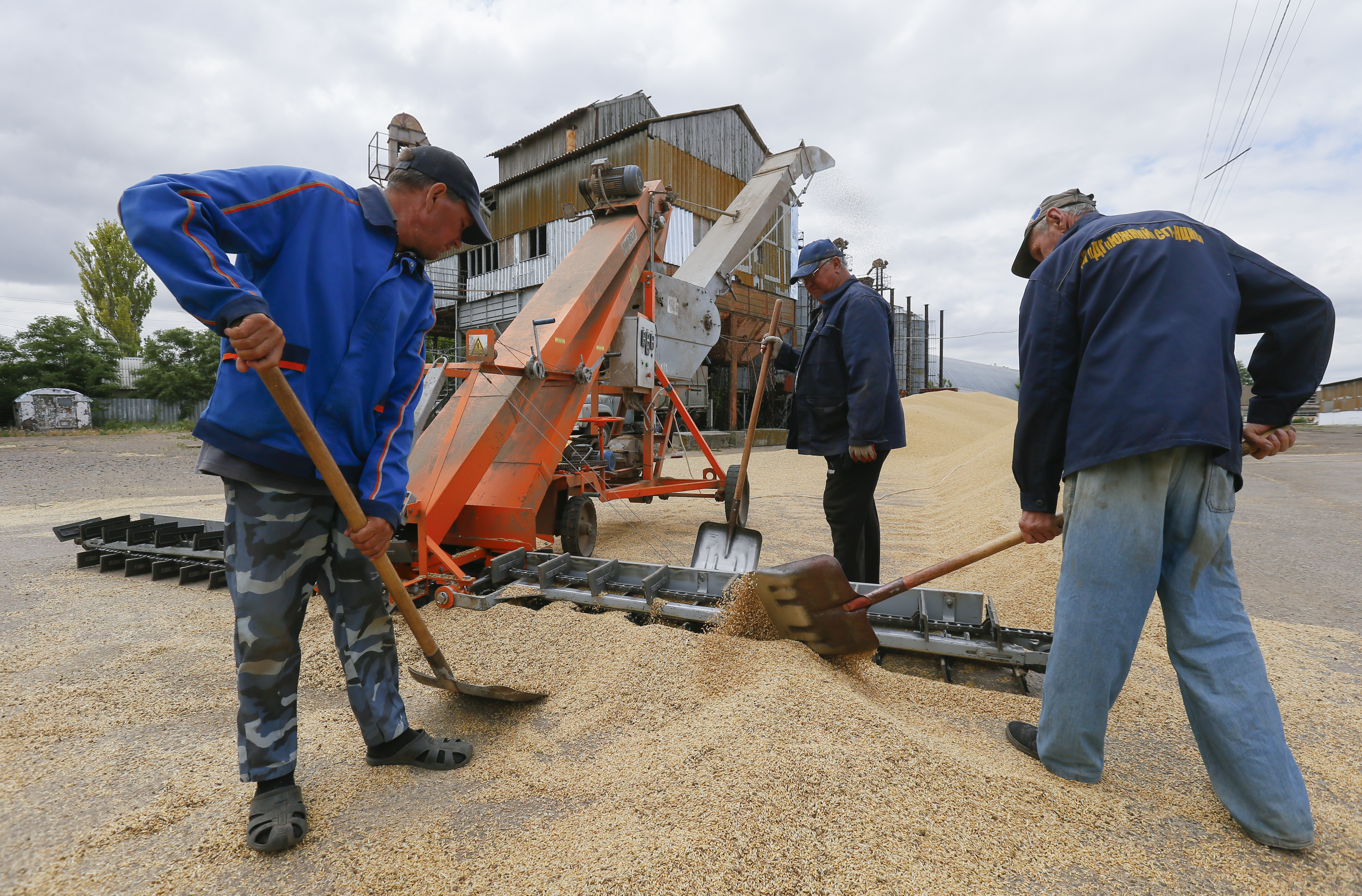 Ukrainian farmers mix grain of barley and wheat at a magazine after harvest in Odesa, southern Ukraine