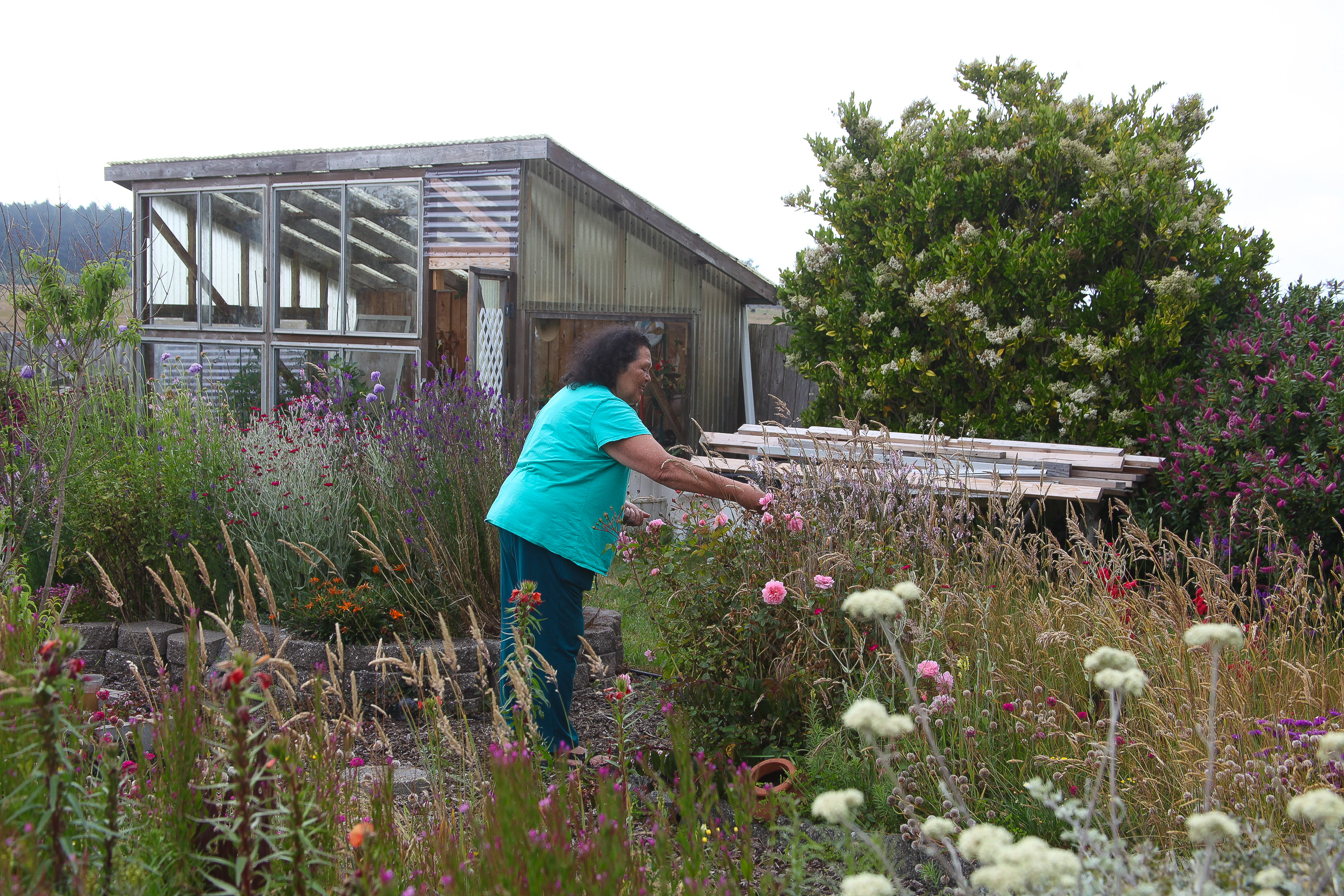 A photo of Cheryl Seidner tending to some plants.