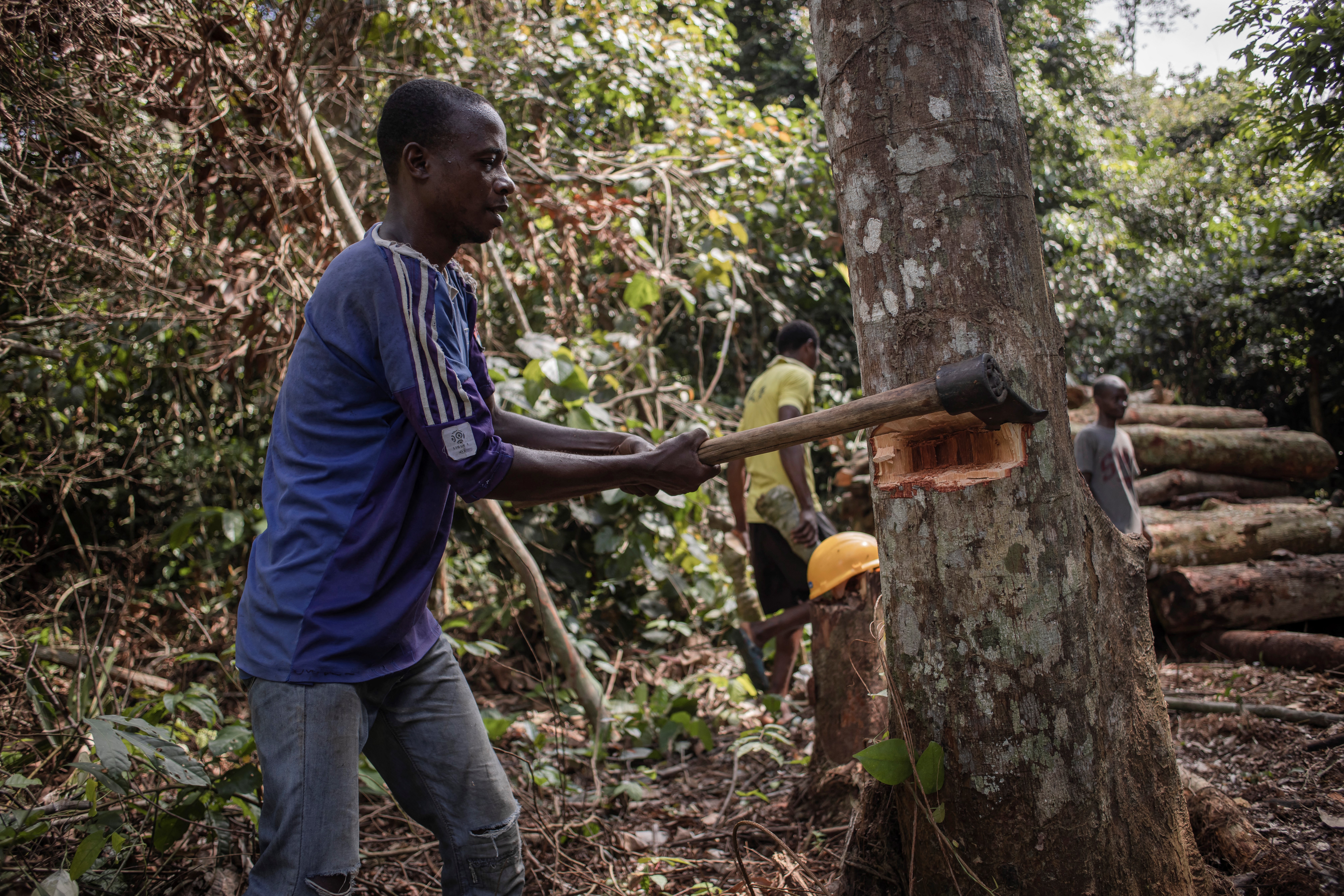 DRCONGO-ENVIRONMENT-CLIMATE-FORESTS