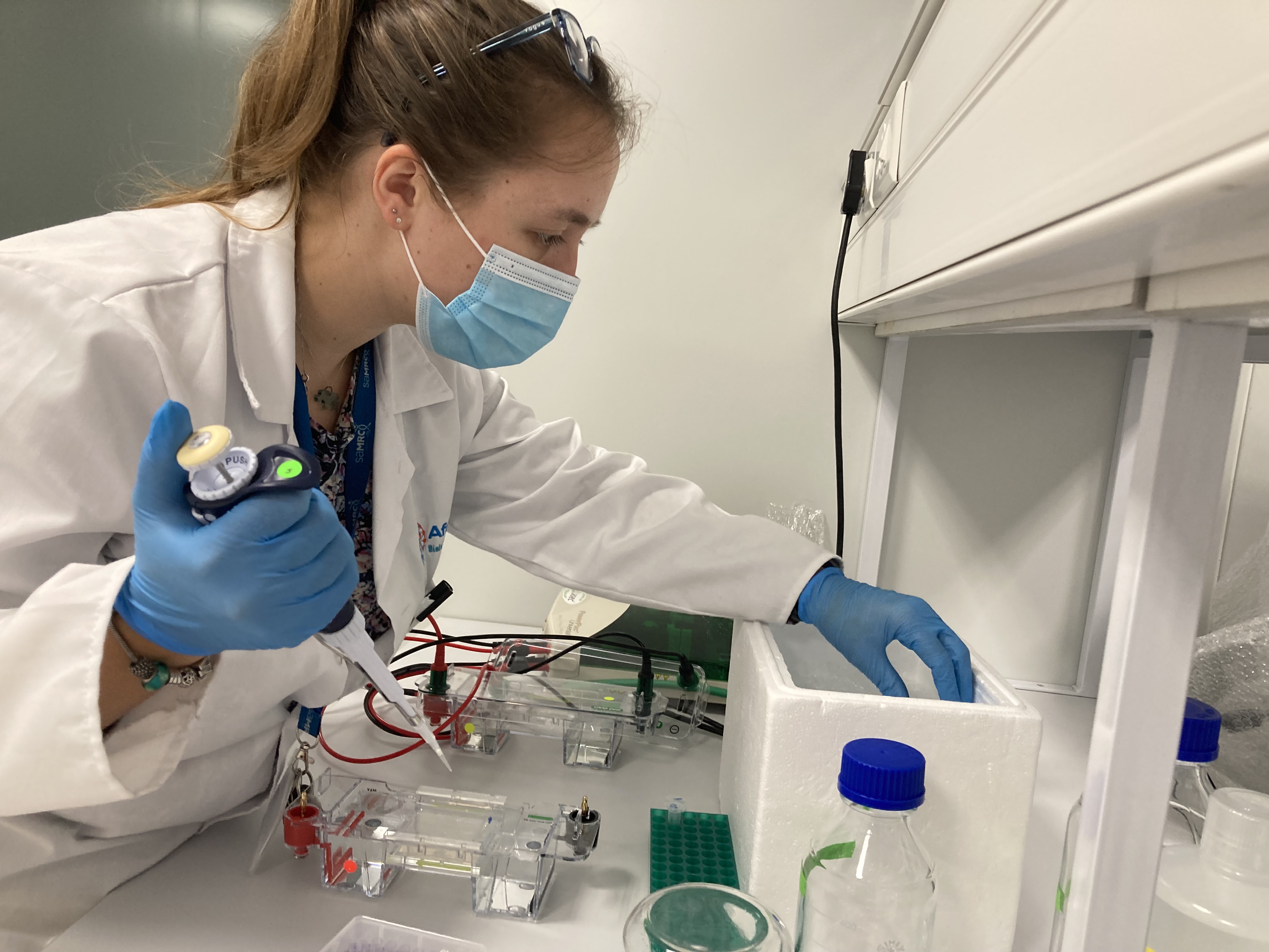 A scientist works in a lab