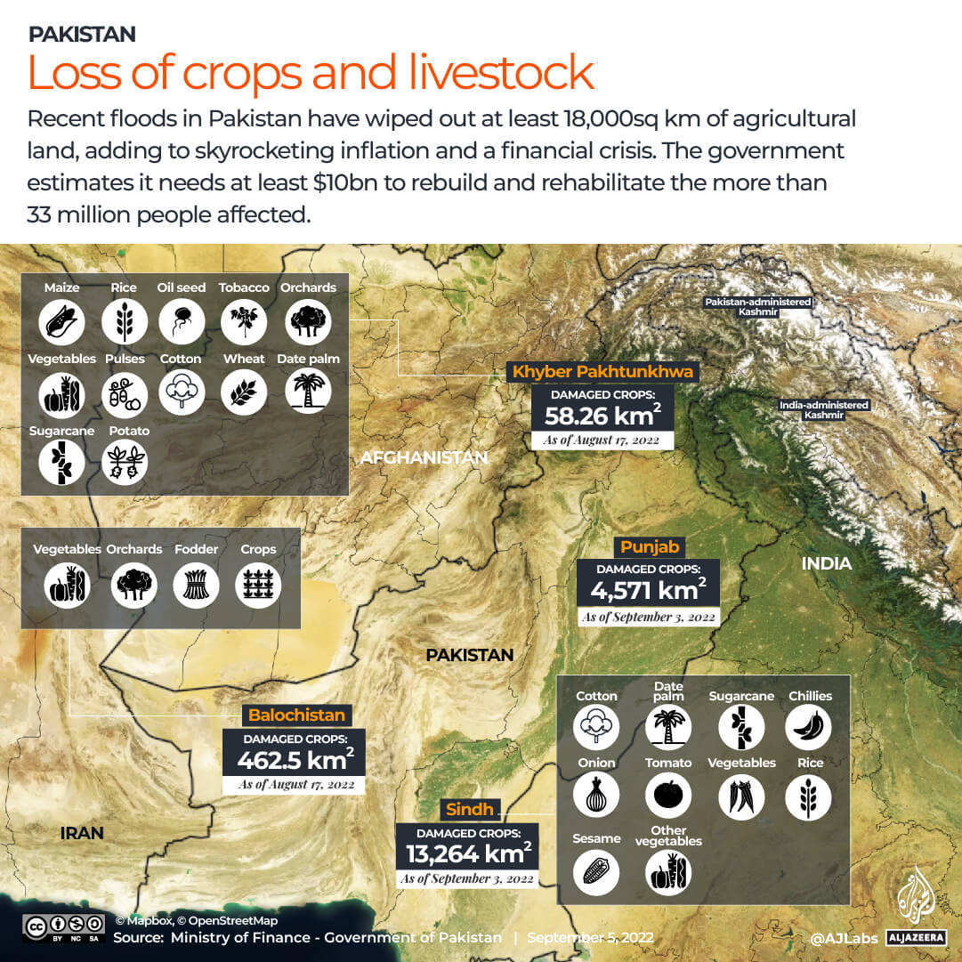 INTERACTIVE_PAKISTAN FLOODS_FINANCIAL LOSS