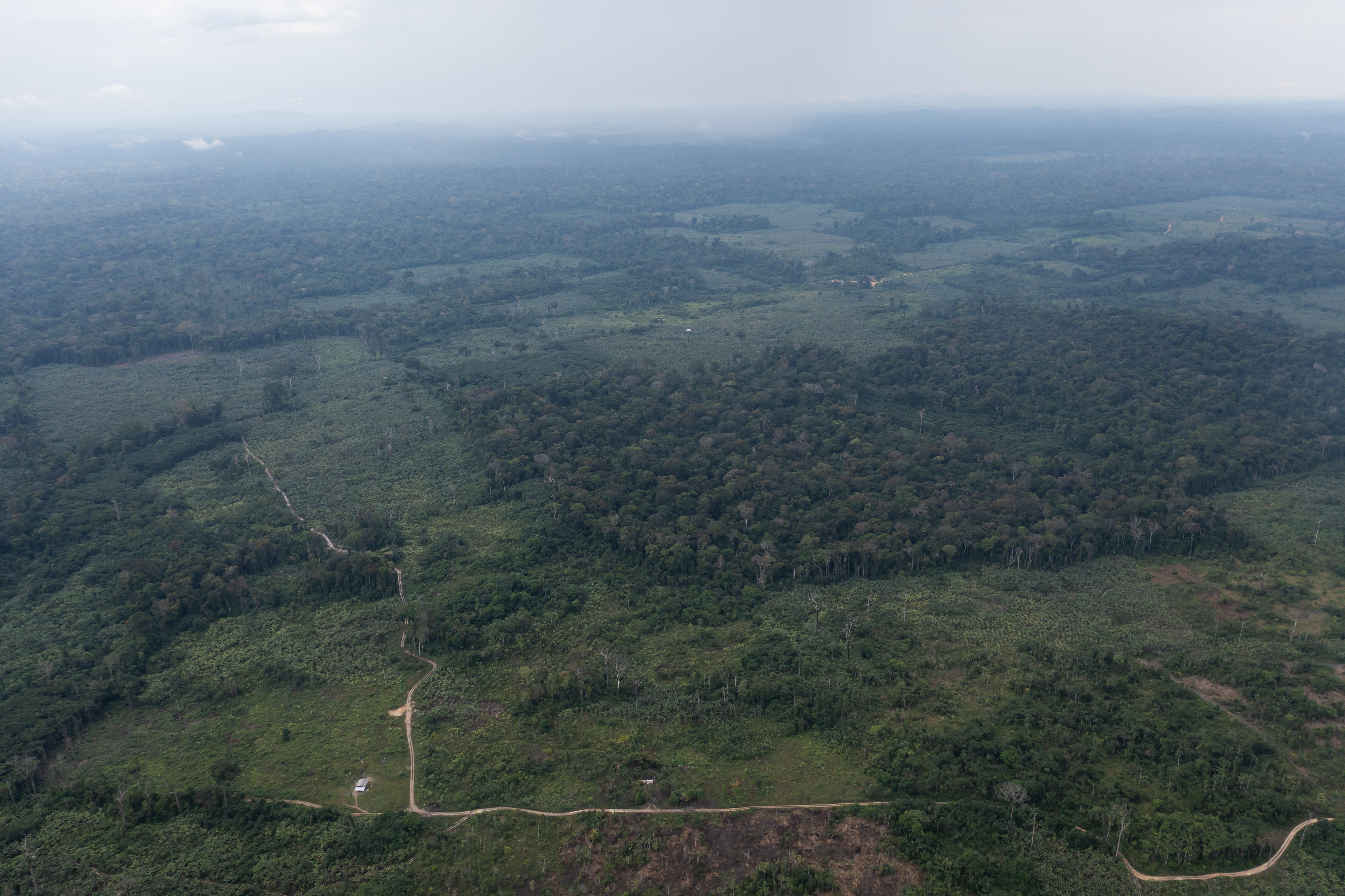 Signs of recent deforestation in Caroebe, south Roraima