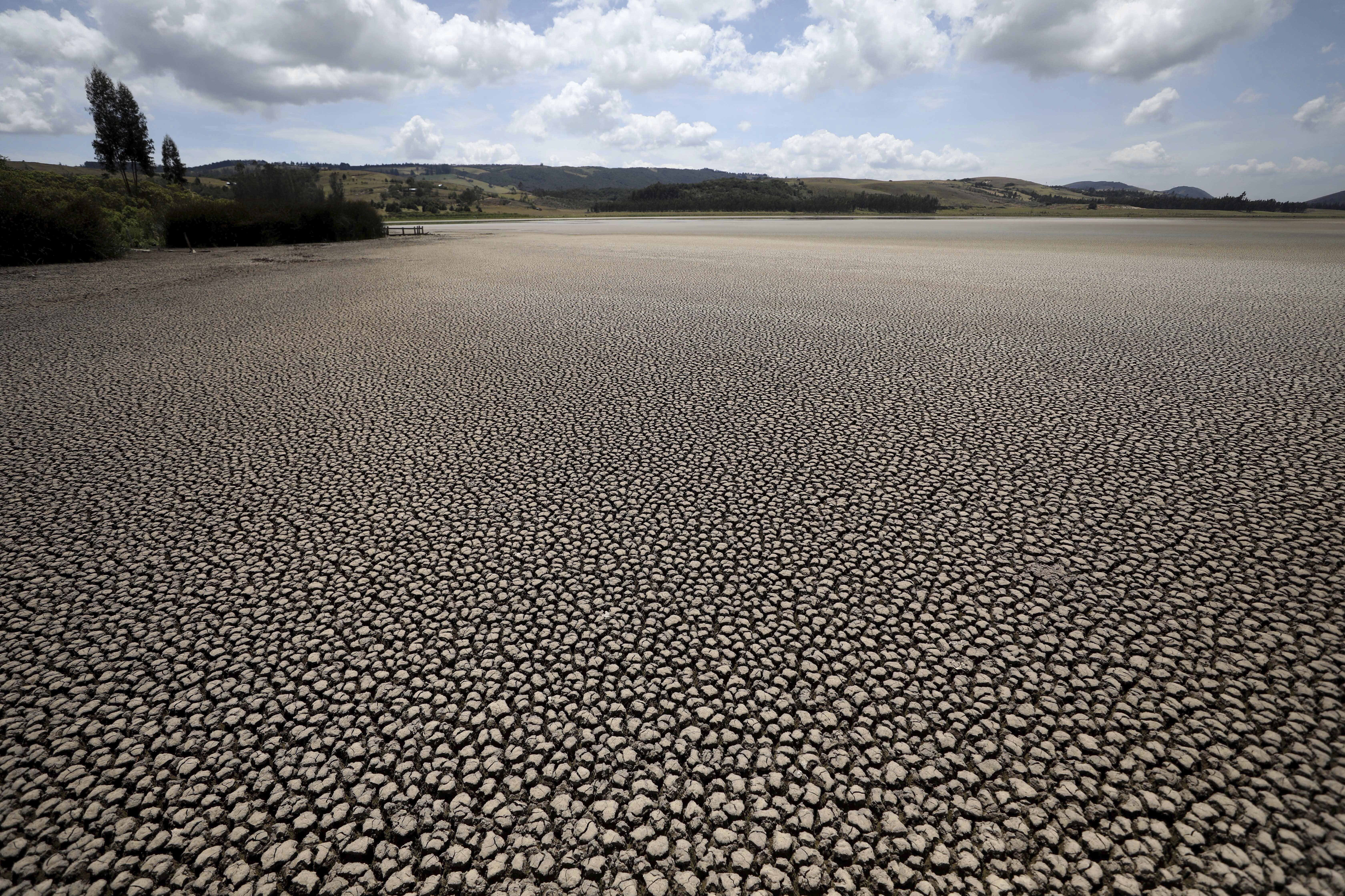 Cracked mud stretches out across a vast area once covered by the waters of the Suesca lagoon
