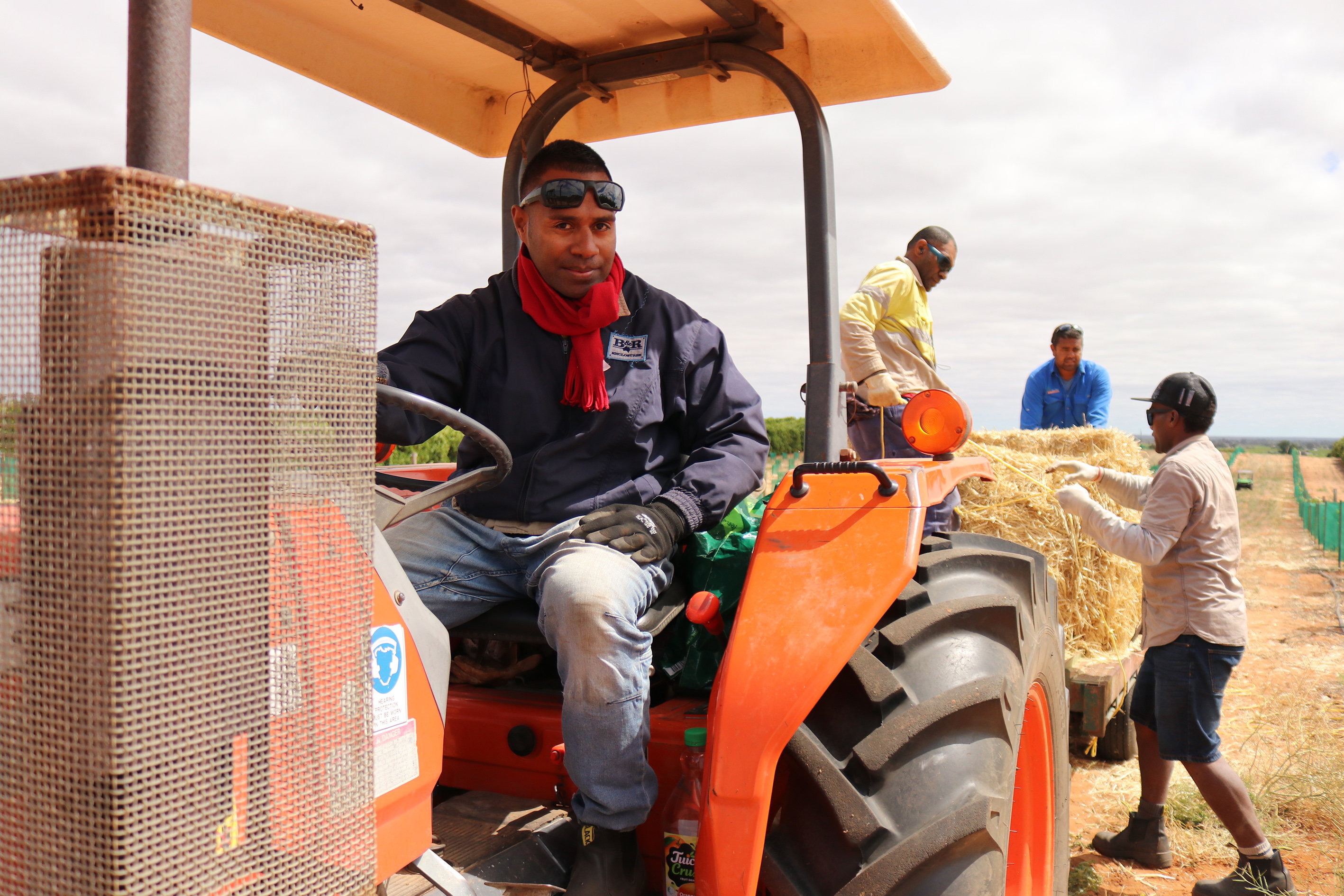 Workers toil away on farmland with one man in the foreground looking at the camera while at the wheel of a tractor.