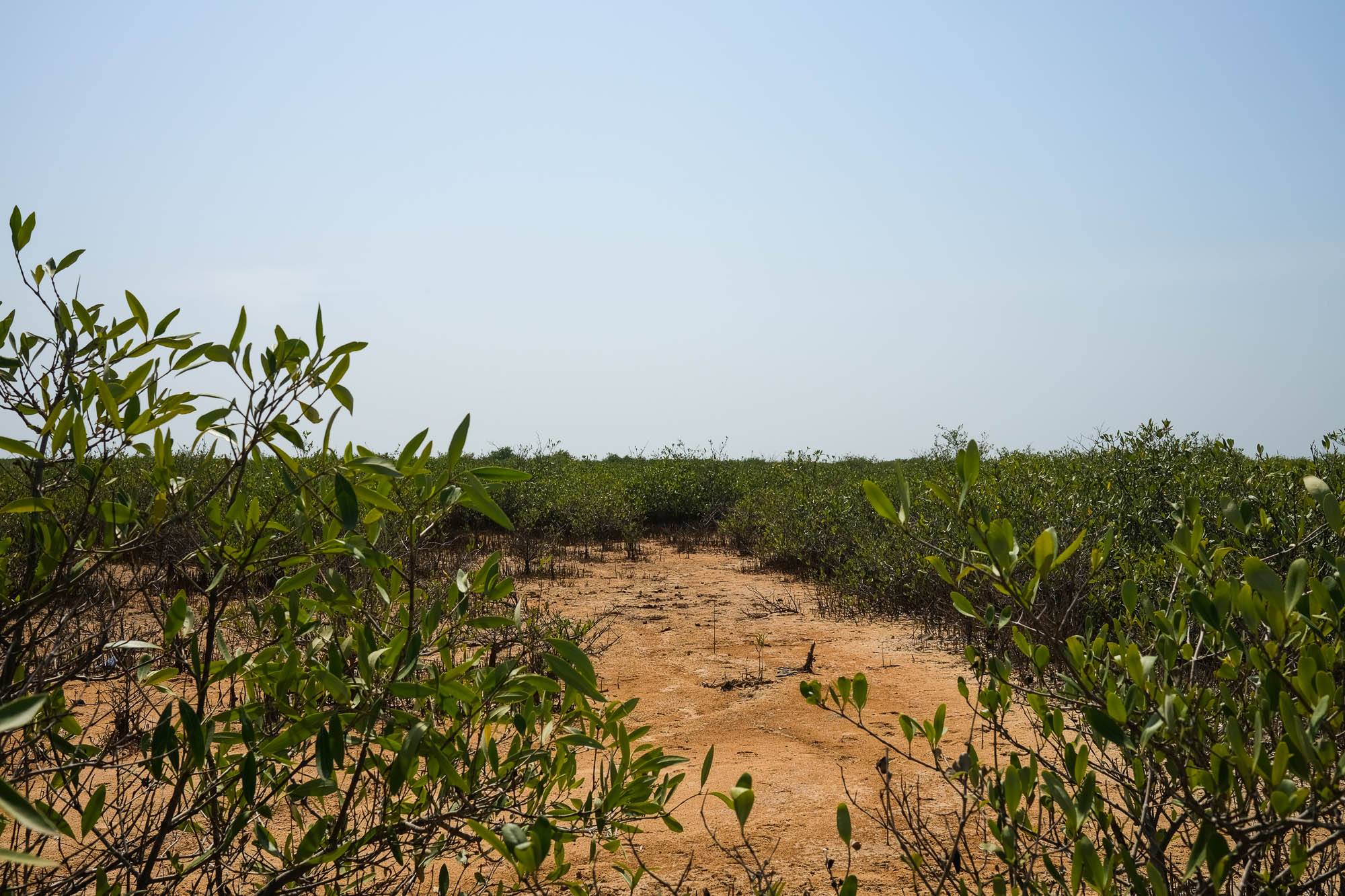 [Virginia Pietromarchi/Al Jazeera]