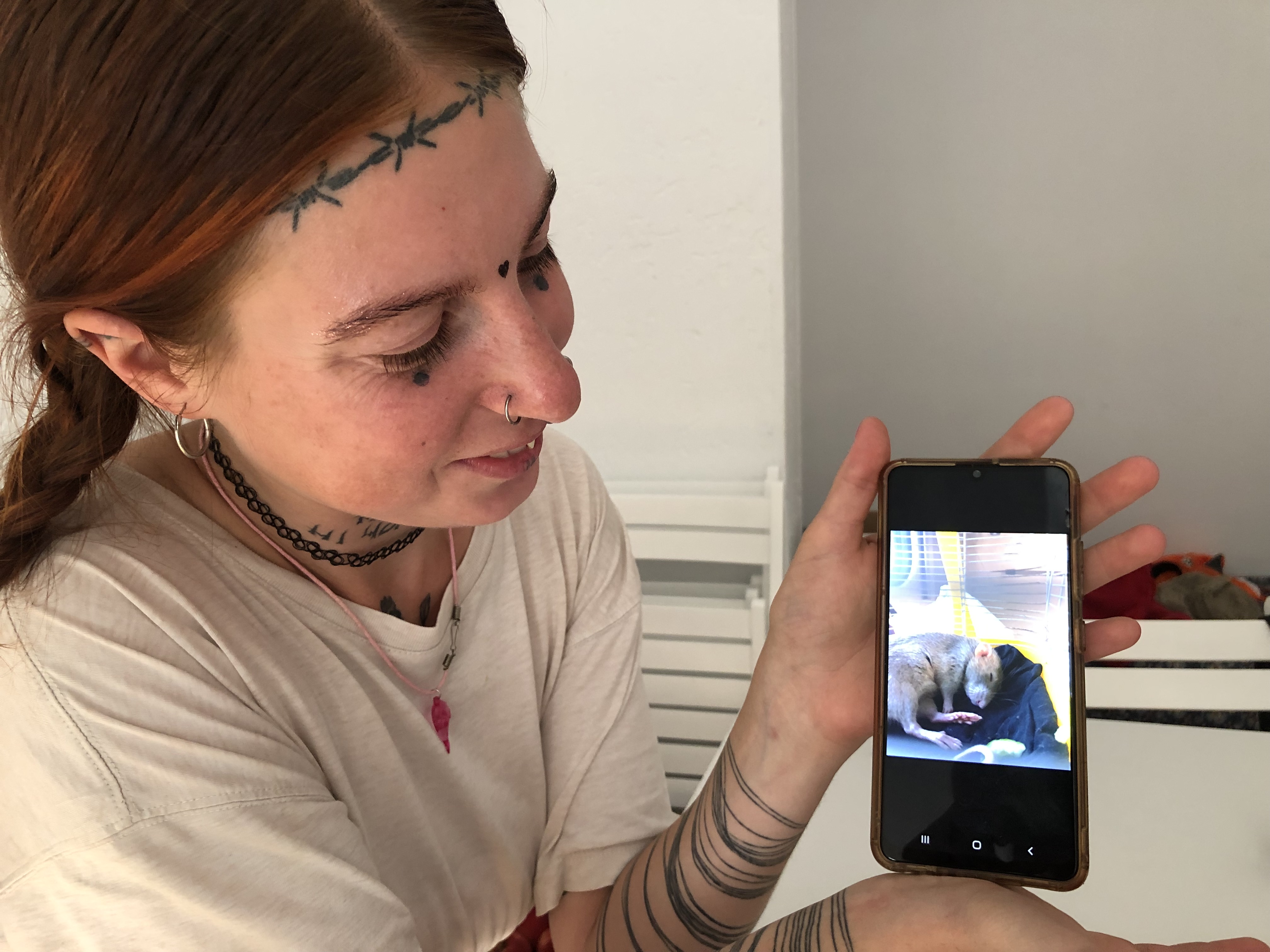 Ivanka with a picture of her pet rat