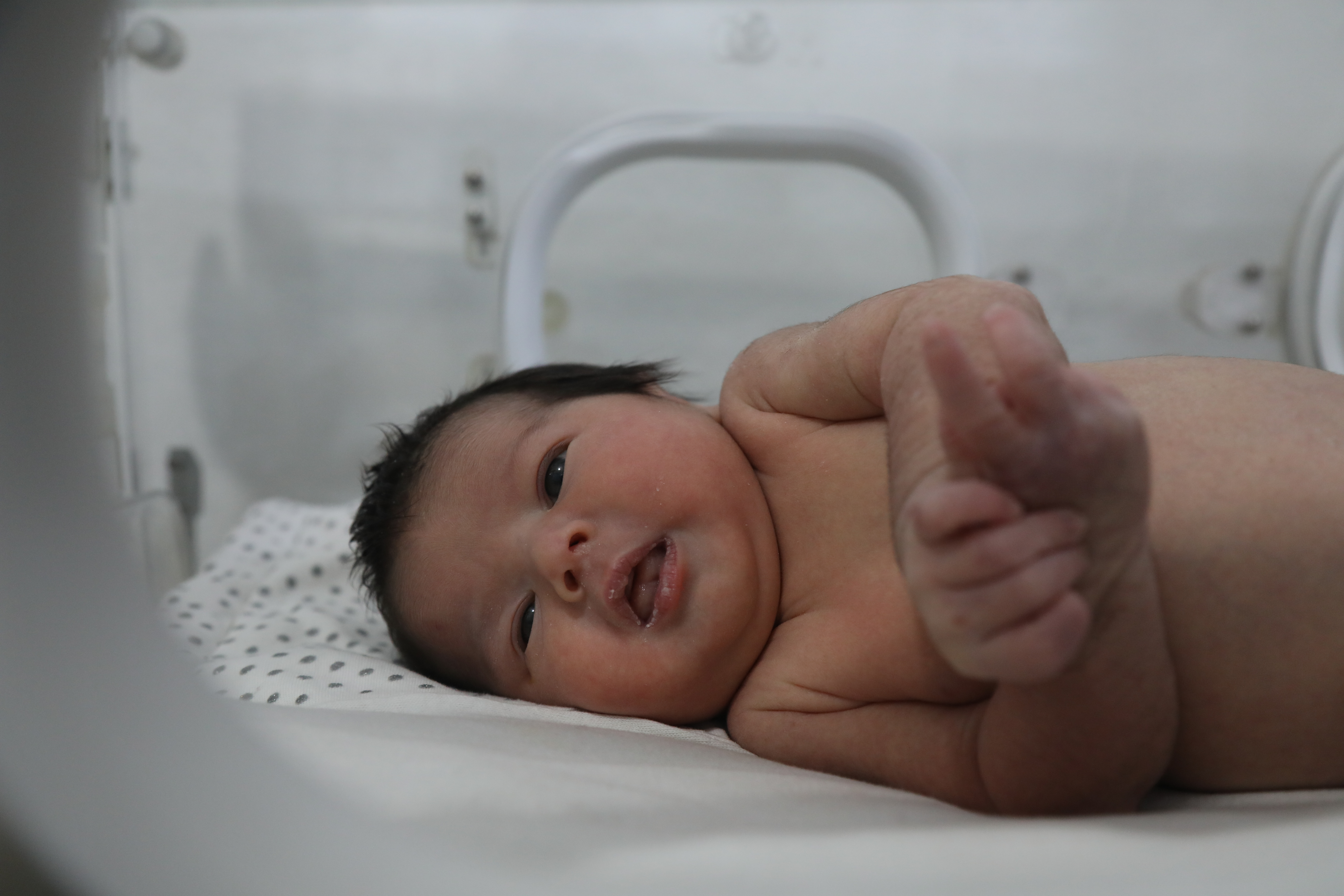 Baby Aya looks out of the incubator at the photographer