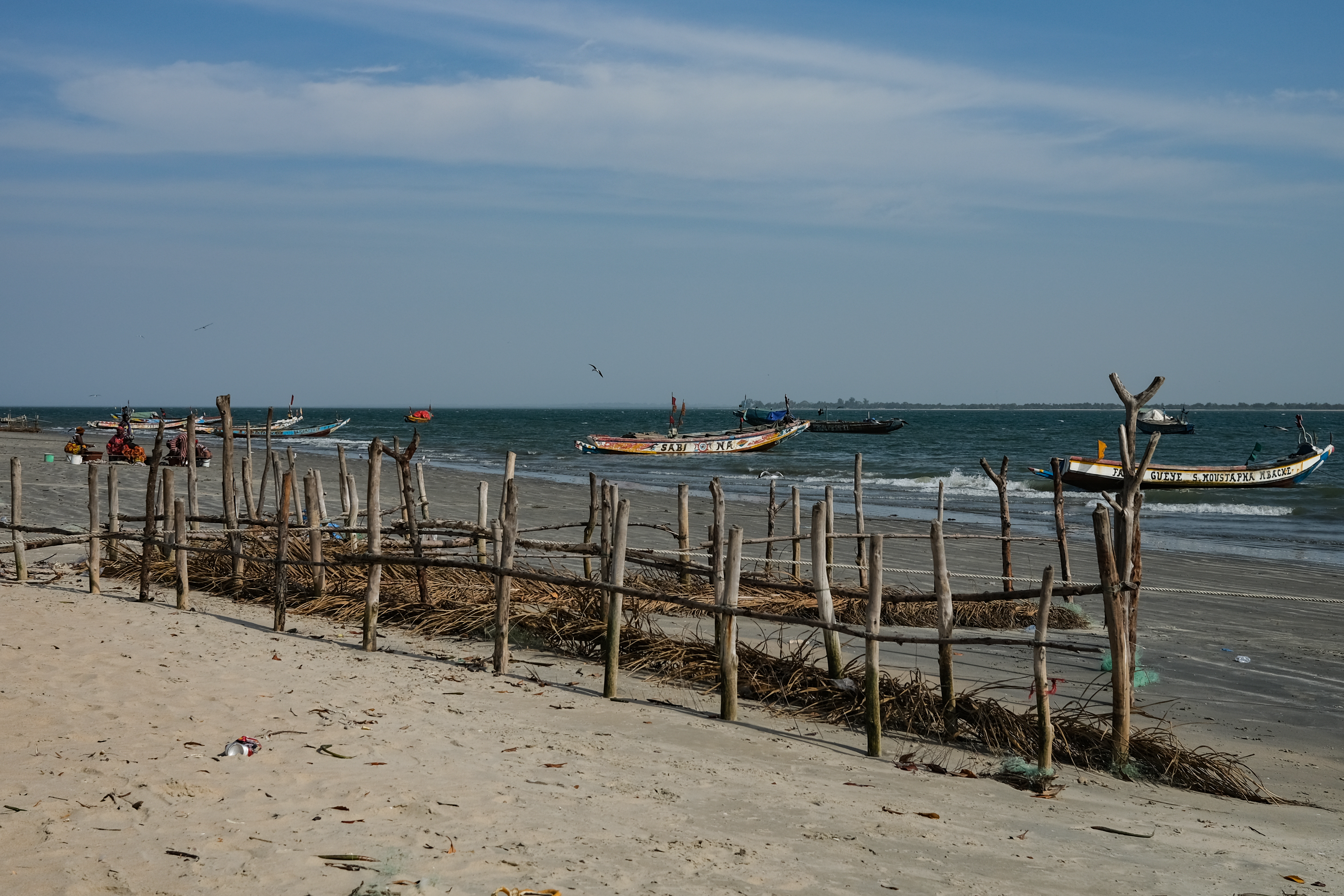 Patrick Chevalier started an experiment in 2019 planting wooden sticks along Diogue’s beach placing coconut leafy branches at their base that would trap the sand and avoid it from washing away [Virginia Pietromarchi/Al Jazeera]