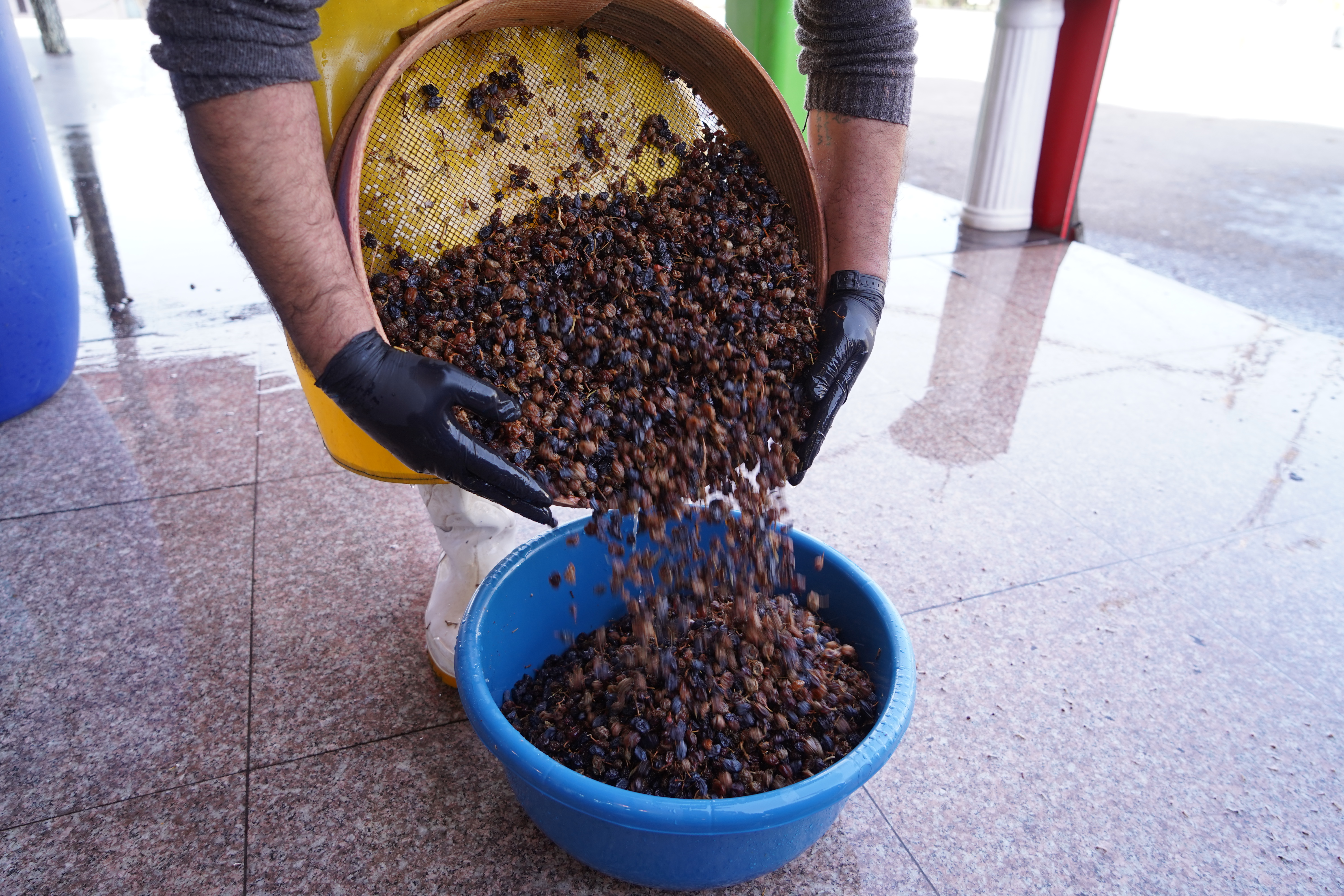 Ramadan rituals in Mosul, northern Iraq