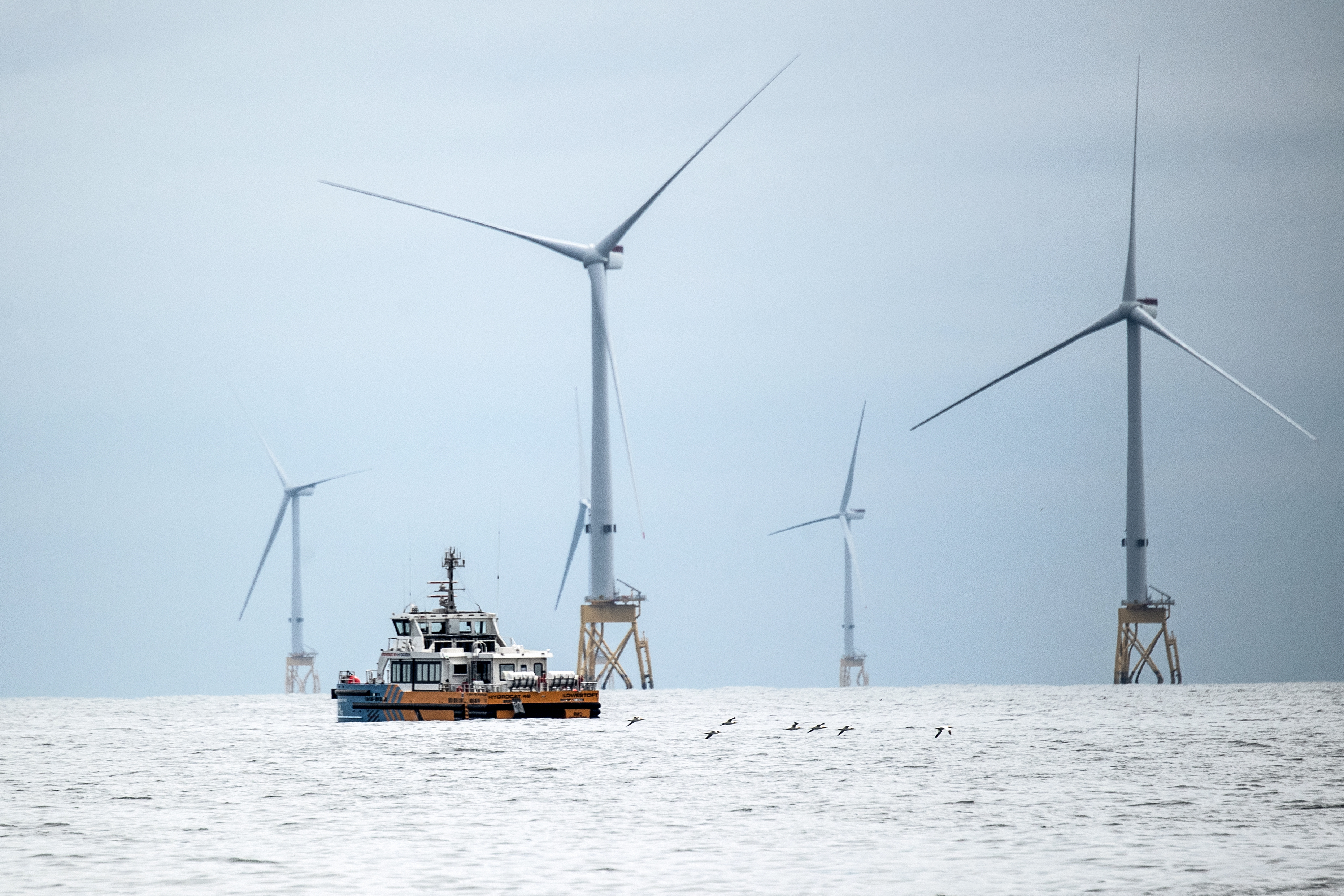 A photograph taken on June 8, 2023 shows wind turbines at the Seagreen Offshore Wind Farm, under construction around 27km from the coast of Montrose, Angus in the North Sea. - The Seagreen Offshore Wind Farm is a joint venture between Total Energies (51%) and SSE Renewables (49%) and it will be Scotlands largest and the world's deepest fixed foundation offshore wind farm once complete. (Photo by Andy Buchanan / AFP)