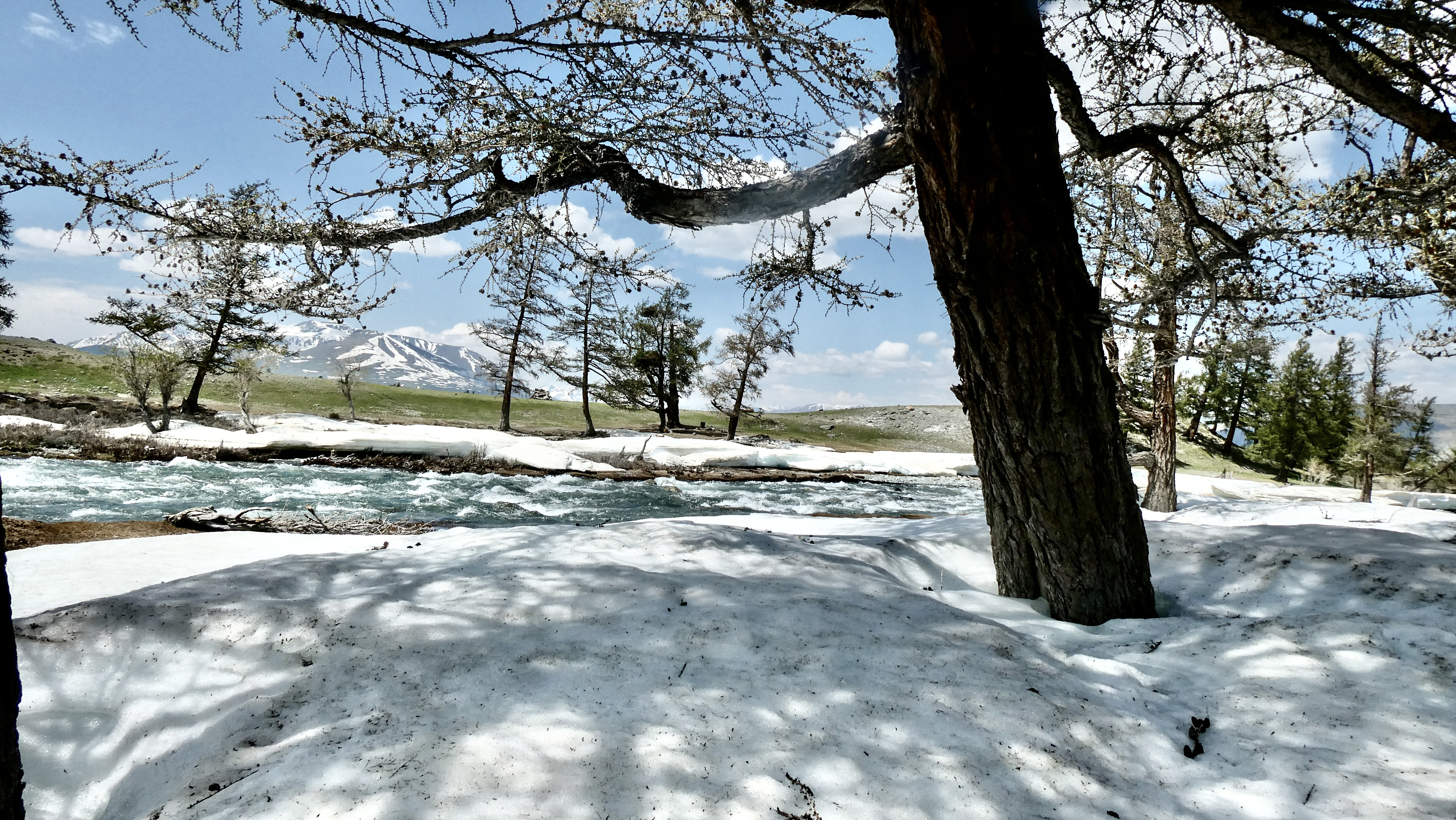 Mongolia’s brutal winters