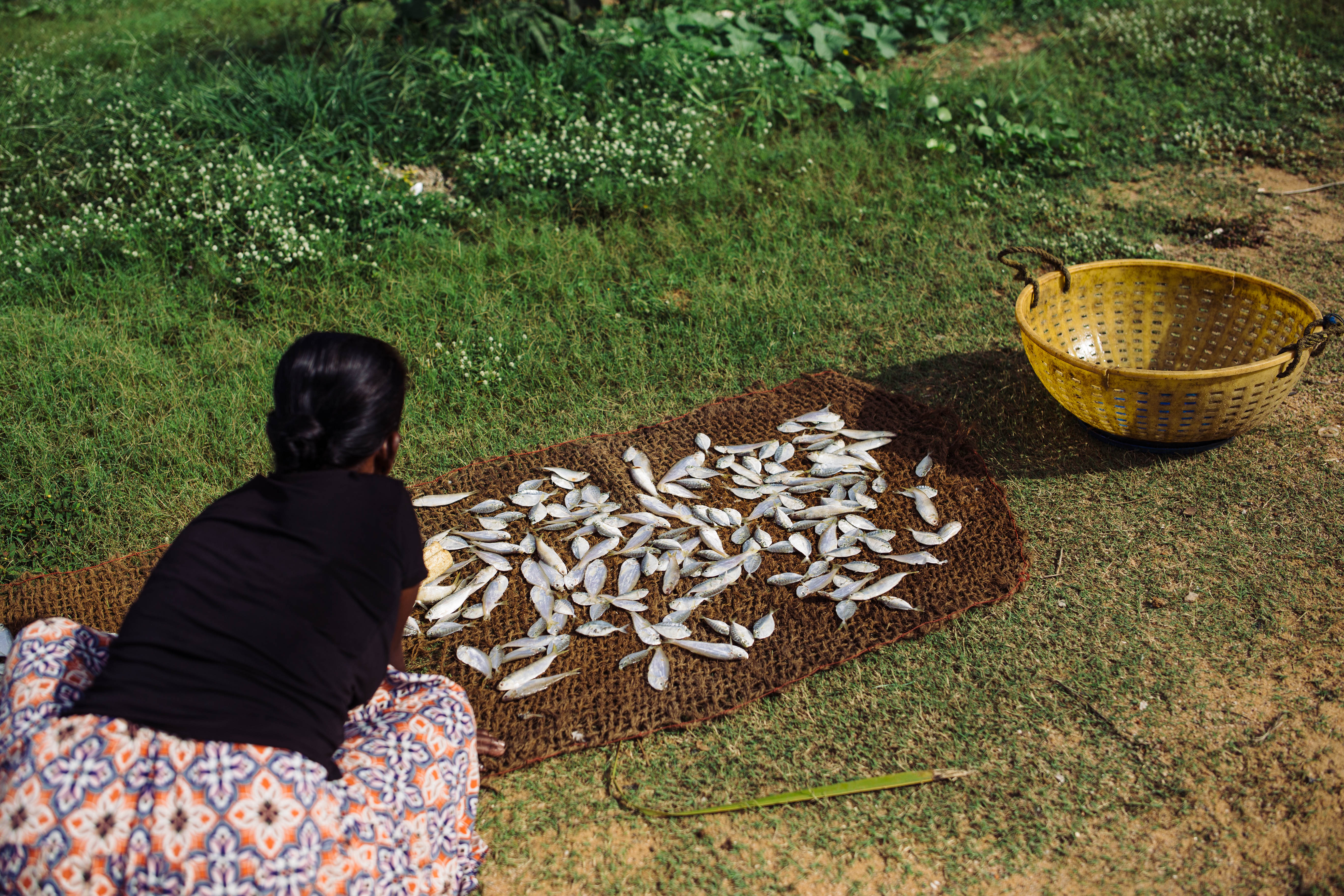 Sorting through a catch