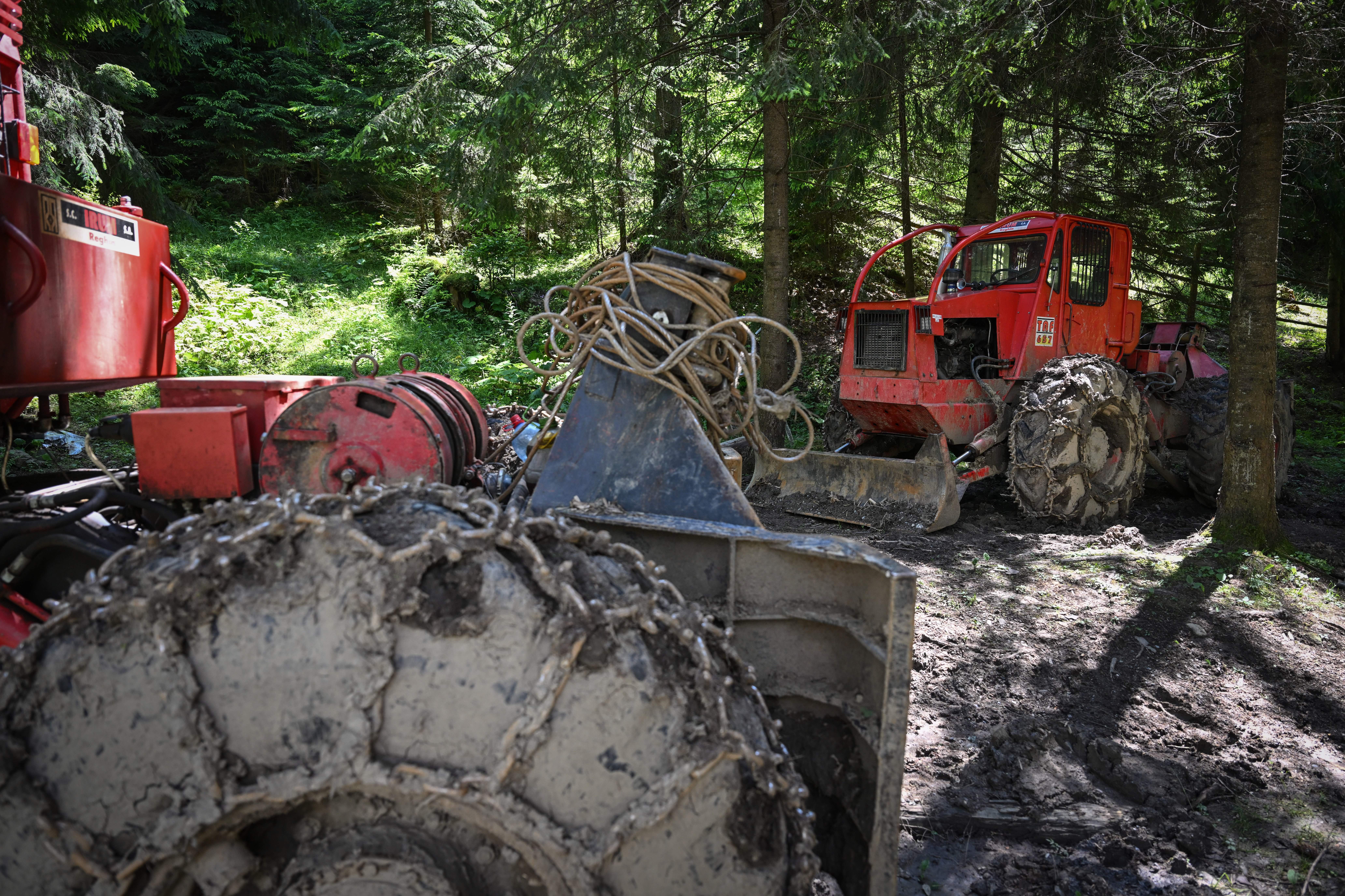 Logging articulated tractors (TAF) used to handle tree trunks from the forest's steep slopes