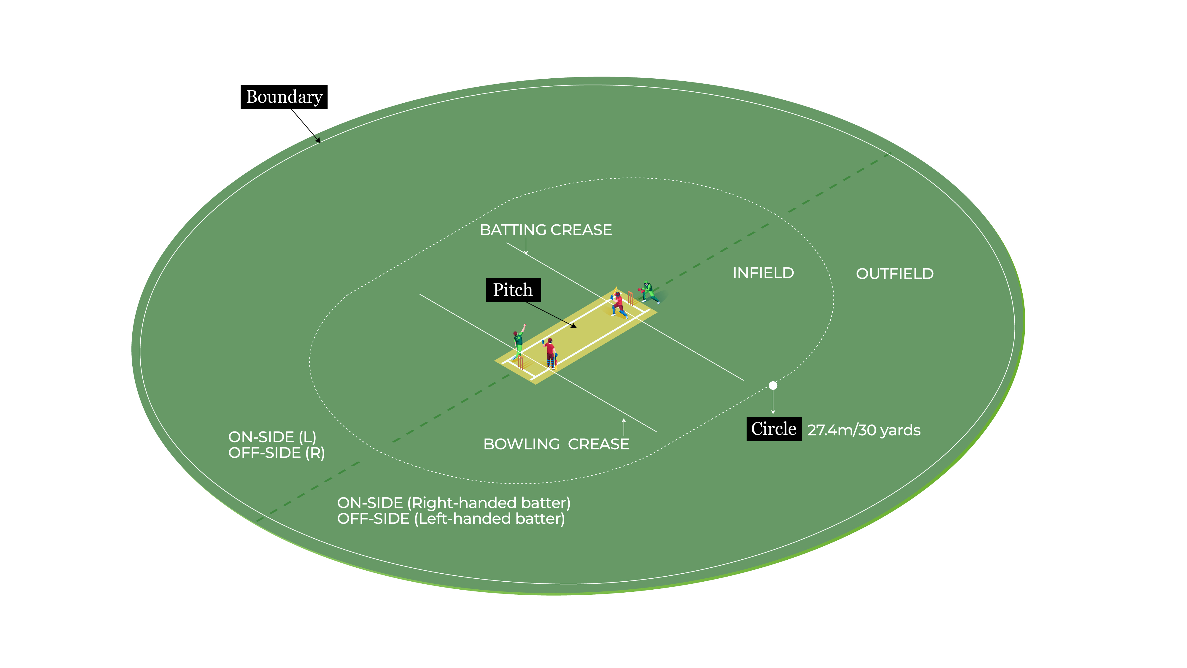 Interactive_Illustrated guide to cricket_Cricket field and pitch