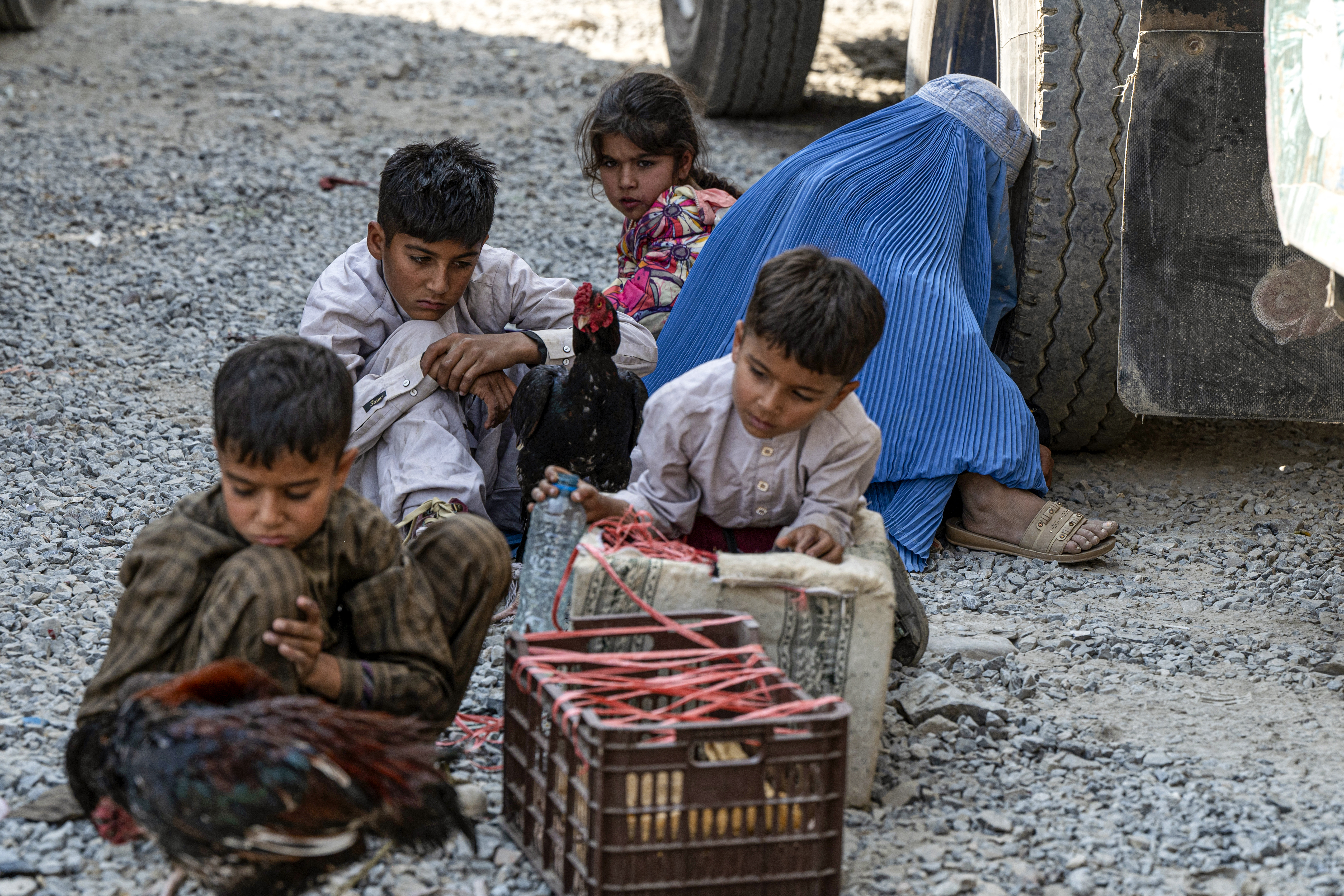 Afghan refugees arrive in trucks from Pakistan at the Afghanistan-Pakistan Torkham border in Nangarhar province