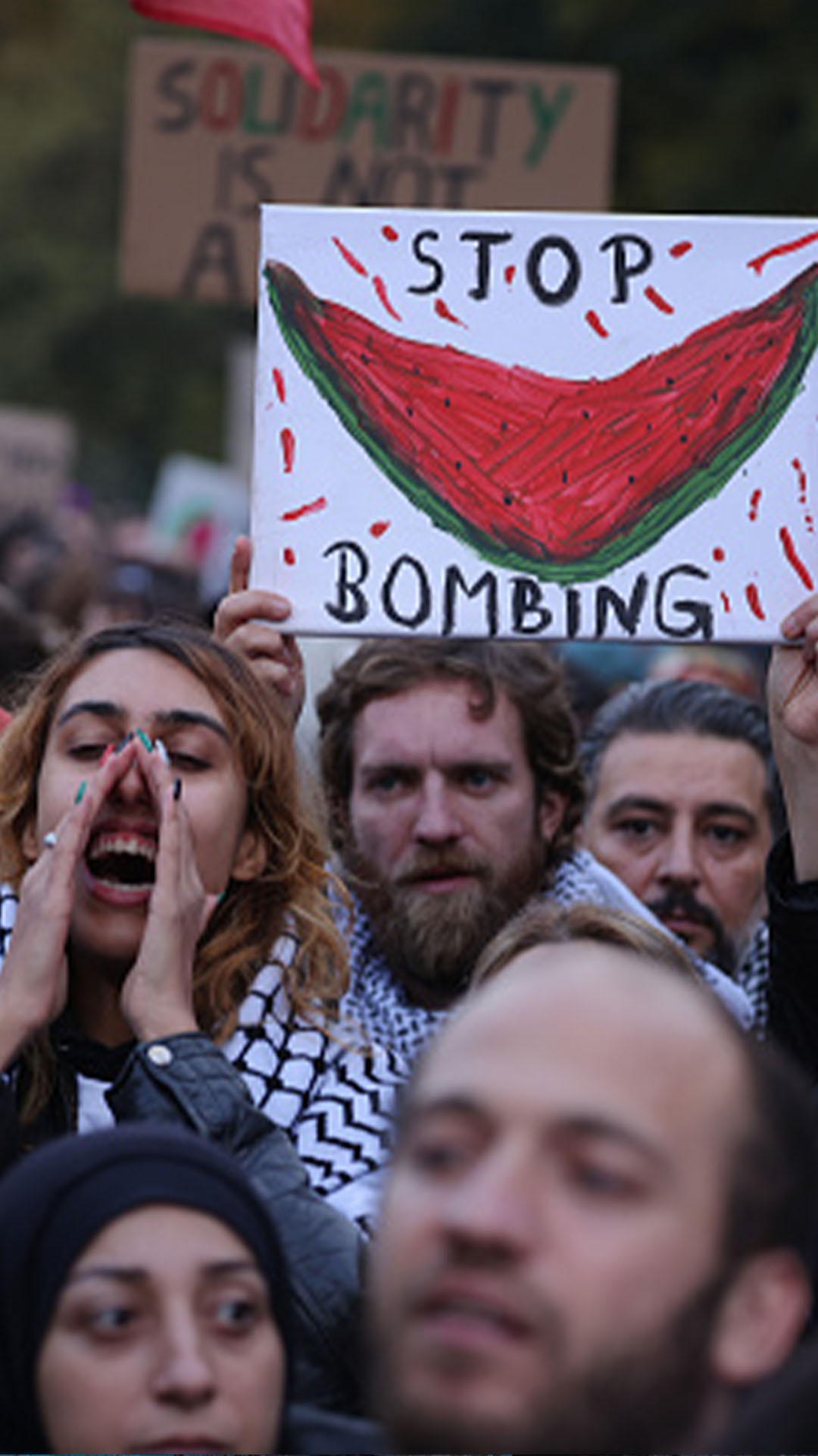 08_watermelon_V-1700404564