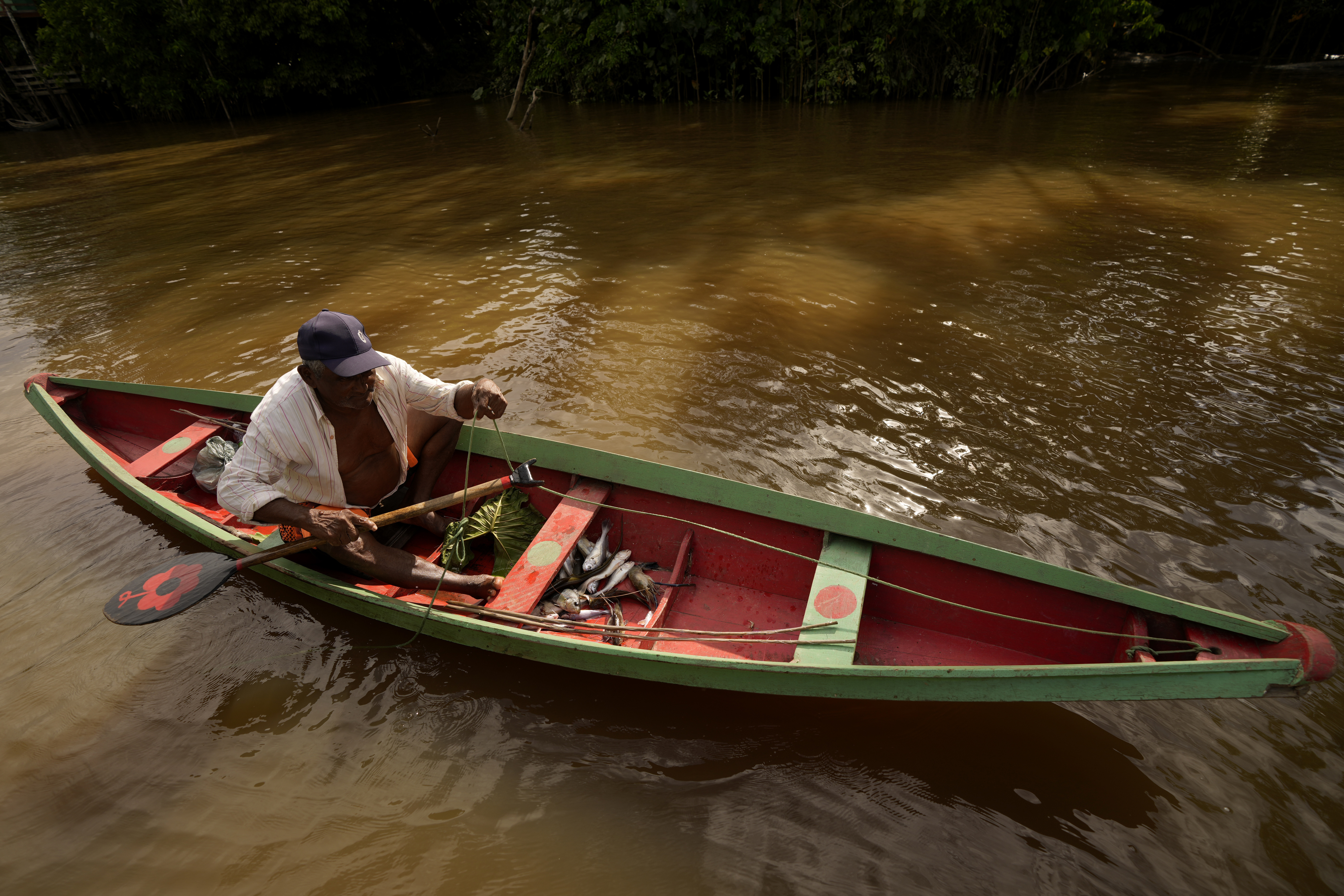 A traditional fisherman works in his boat in the waters of the Igarape Combu, on the shores of Ilha do Combu, near the city of Belem, Para state, Brazil.