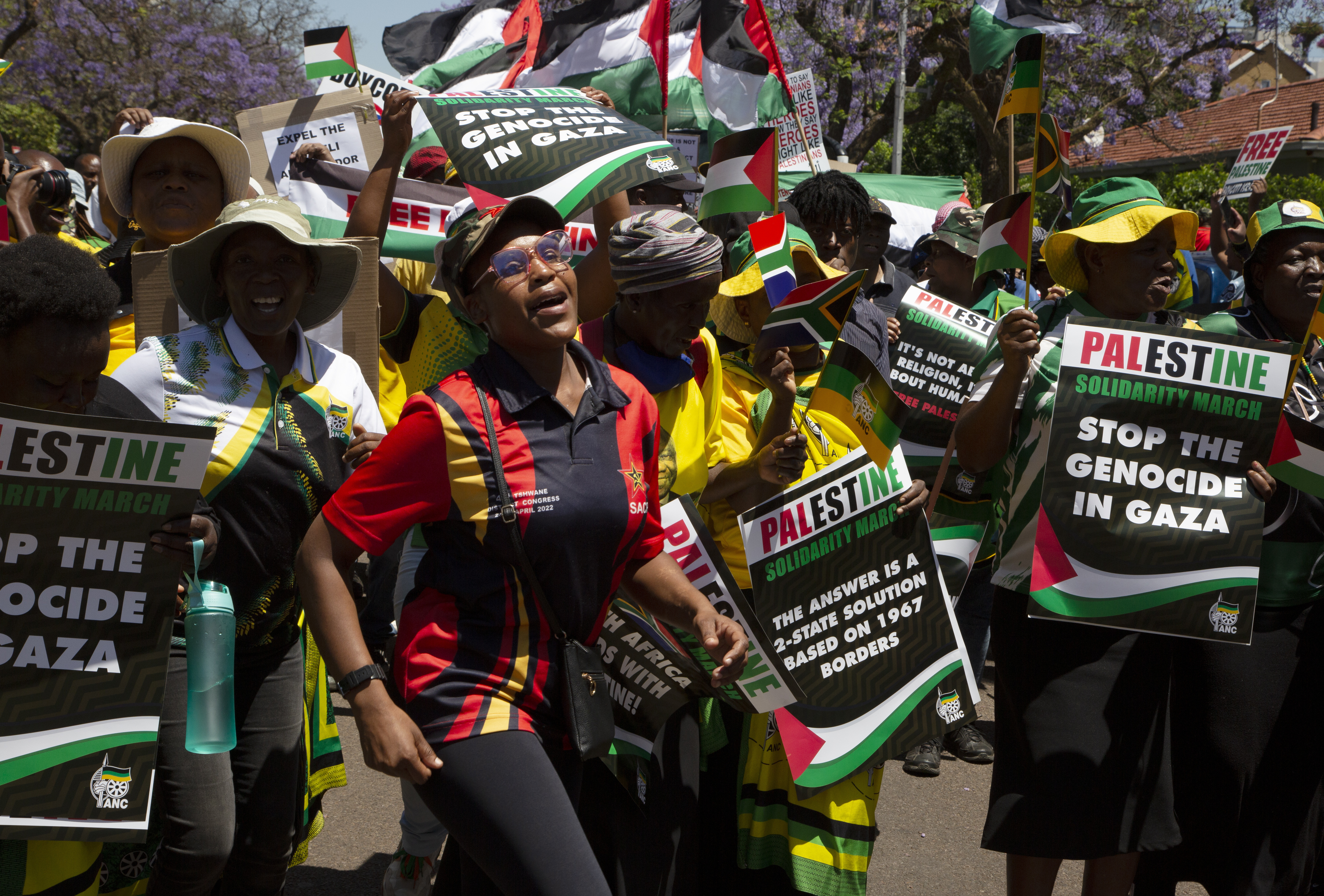Pro-Palestine demonstrators march in South Africa