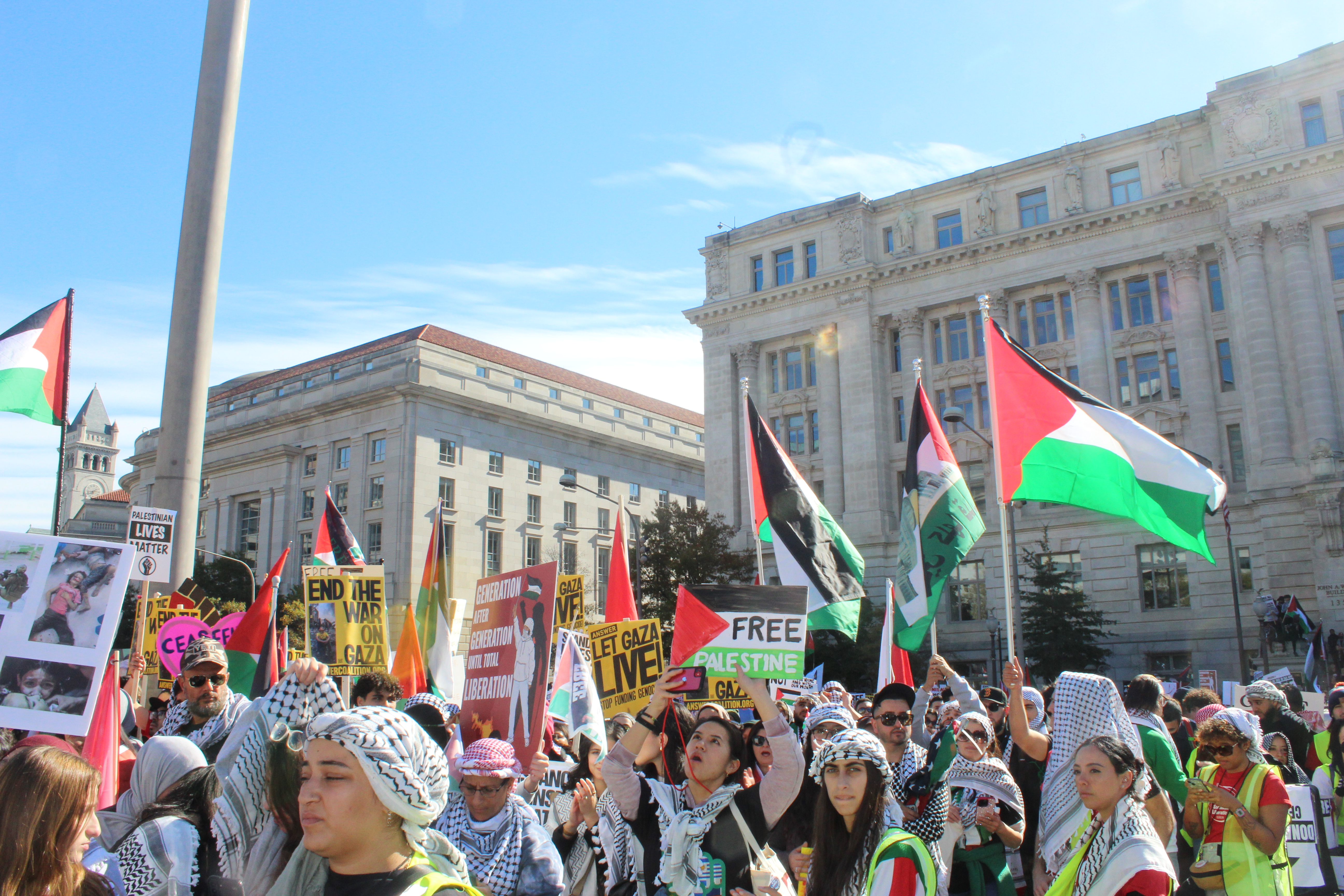 Protesters rally in Washington, DC