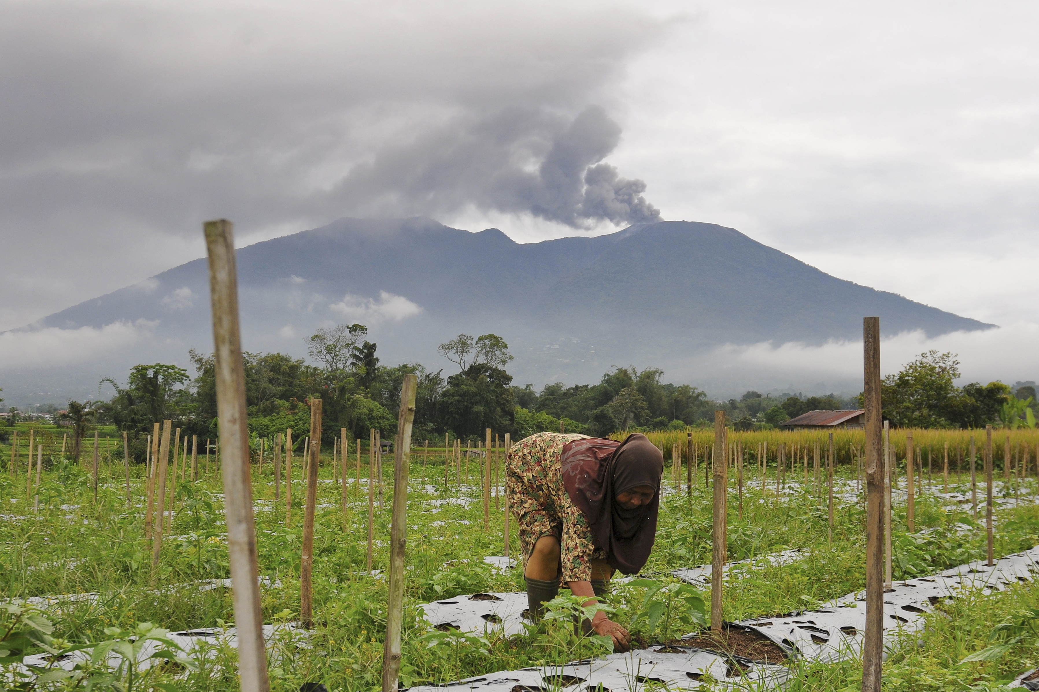 Mount Marapi volcano spews volcanic ash