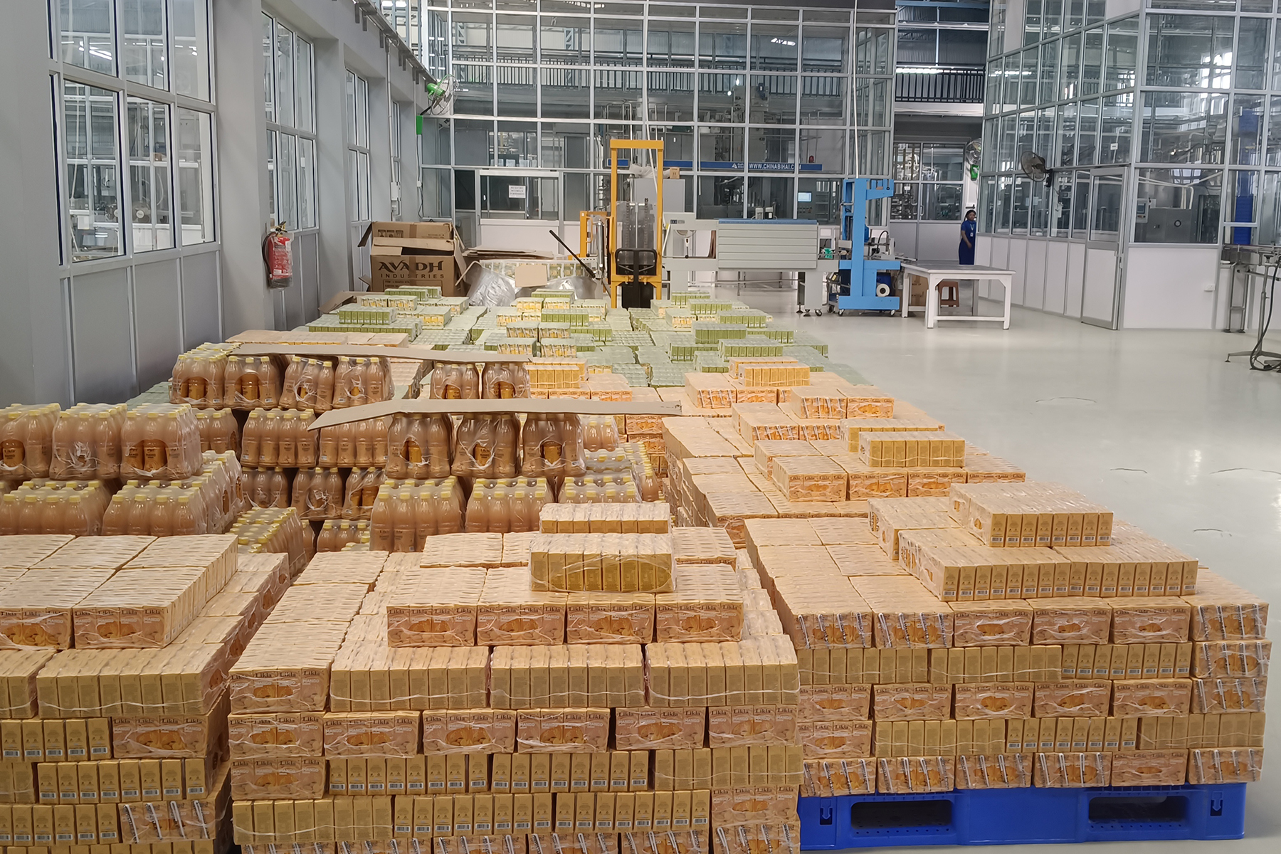 Thangjam Joy Kumar Singh's factory in Imphal