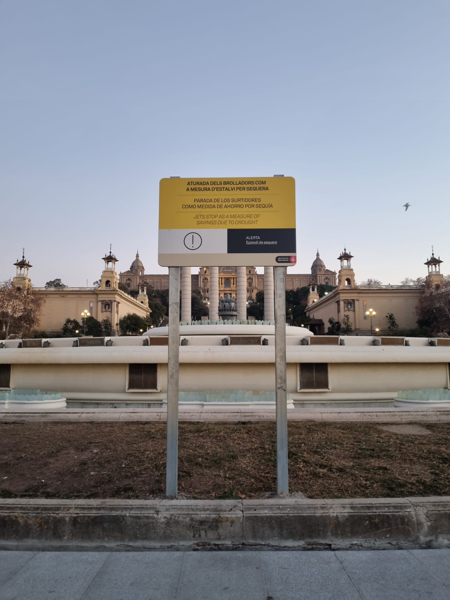 IMG-20240202-WA0008-1707210643