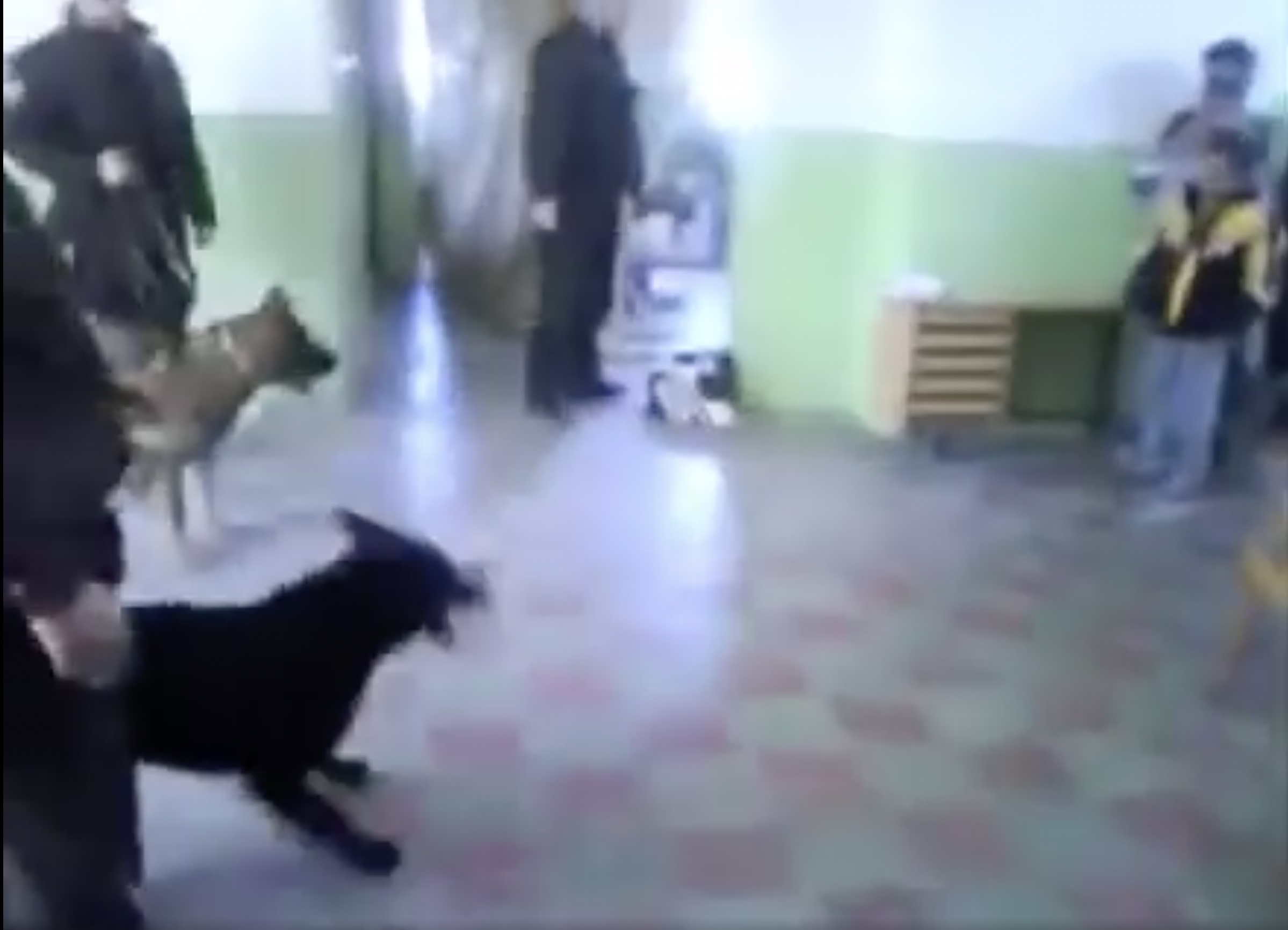 In March 2009, police officers in Kosice, Slovakia filmed themselves threatening and racially abusing six Romani children in a police station. In February, a City Court acquitted the accused officers for the third time, citing inconclusive evidence [Facebook, Romea/Screengrab]