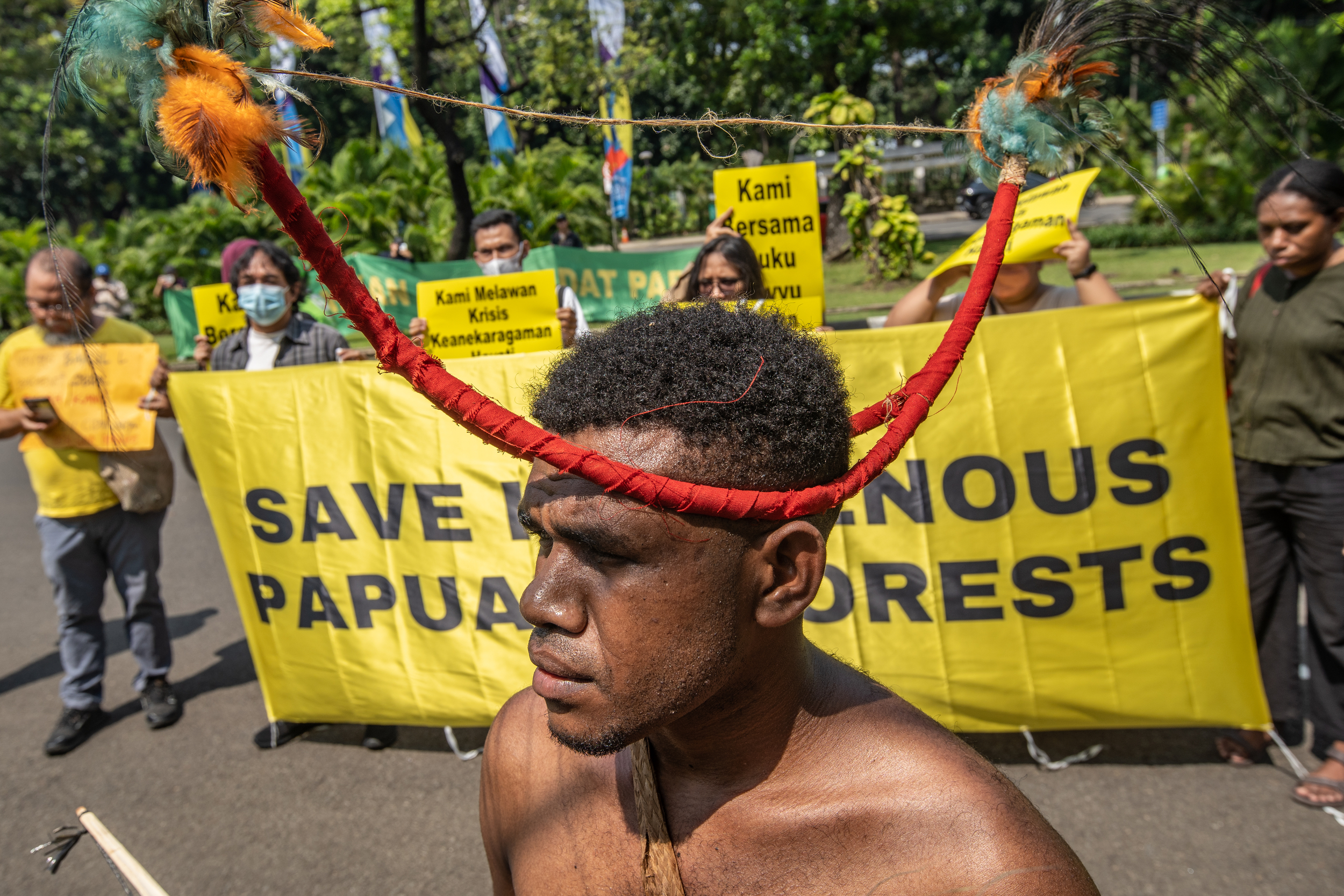 A Papuan man in a traditional headdress. It is made up of two curved red poles.